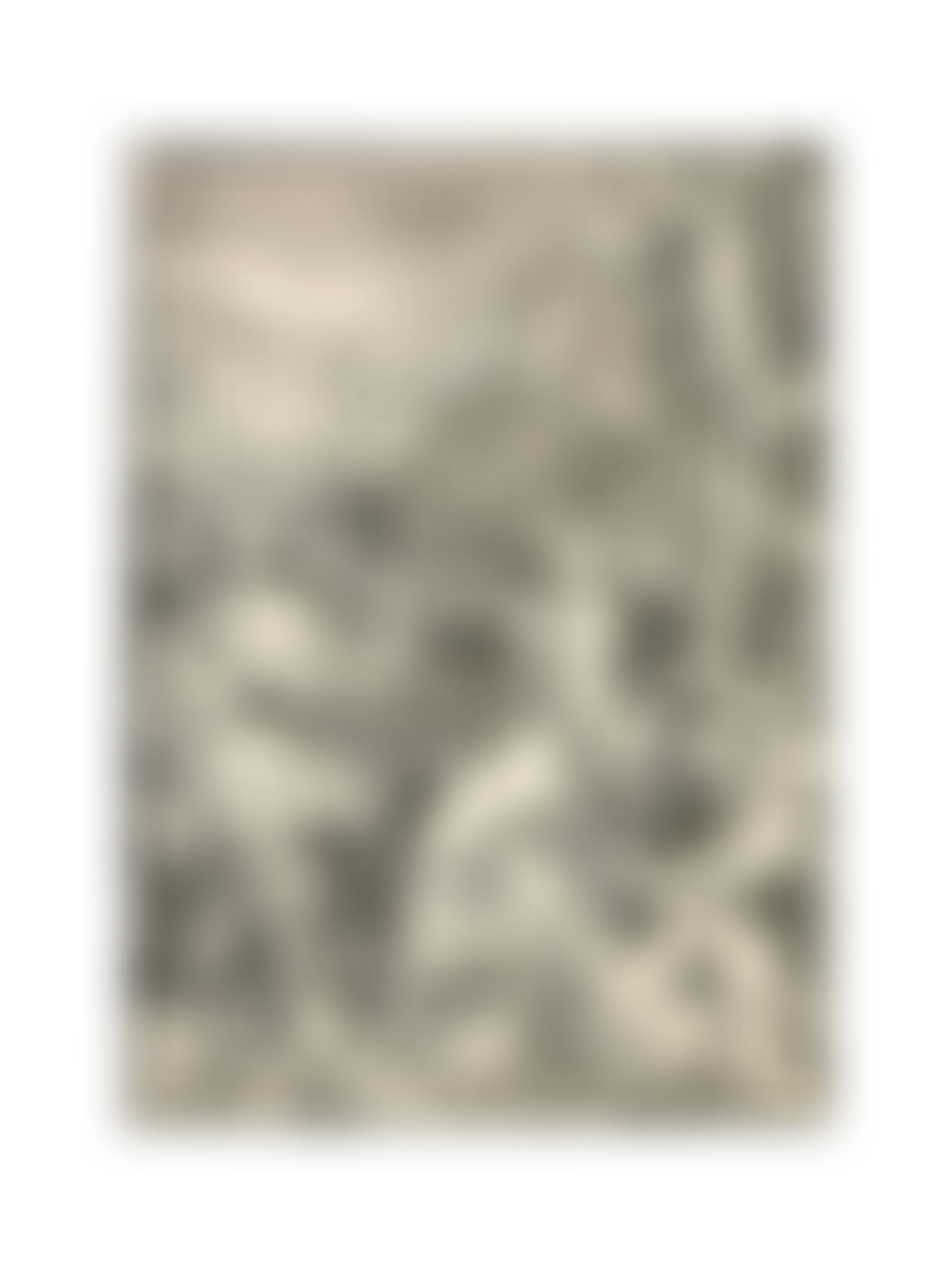 The Captivity of Christ, from: The Large Passion (preview)