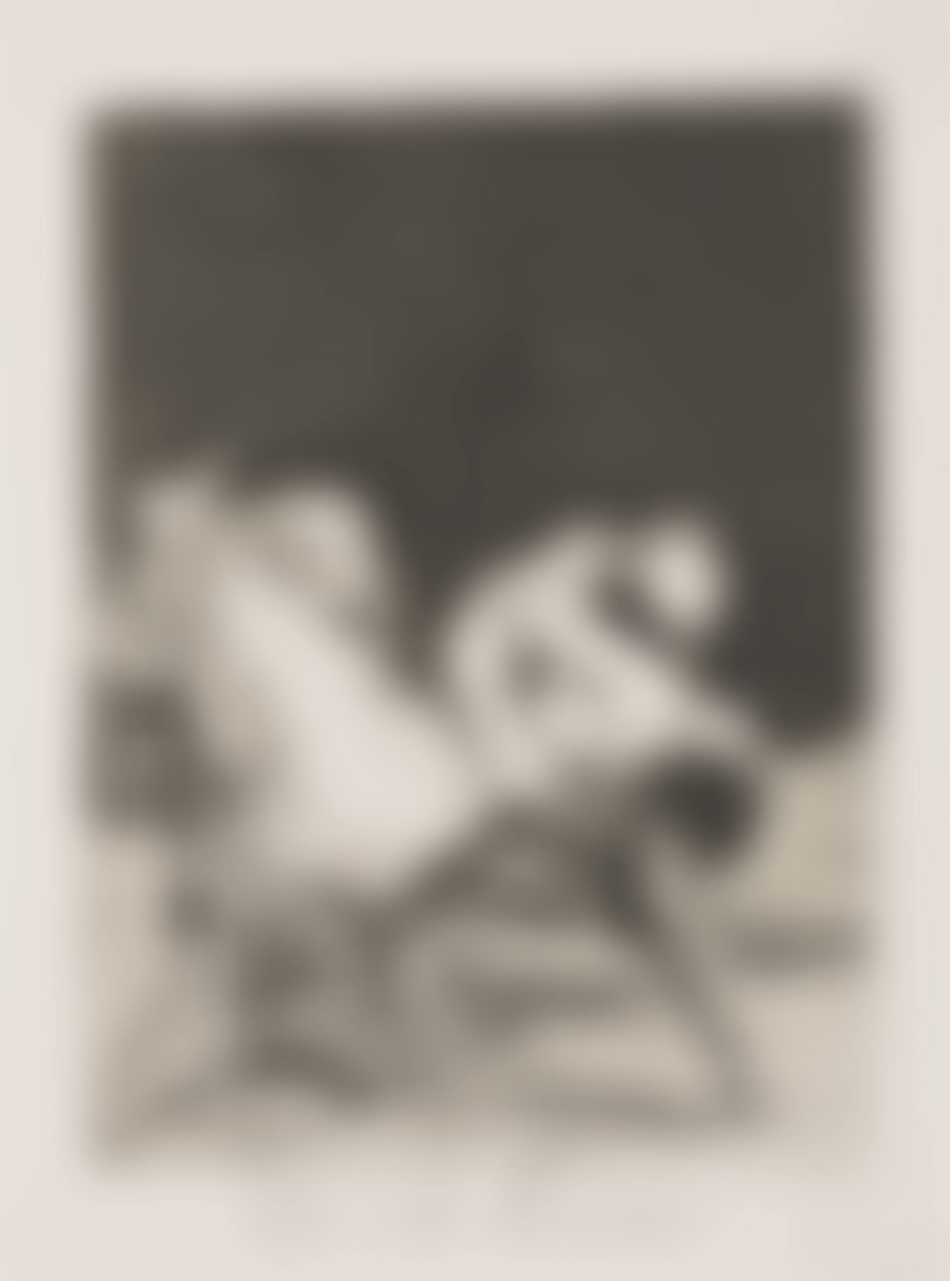 Que se la llevaron! (Plate 8 from: Los Caprichos) (preview)