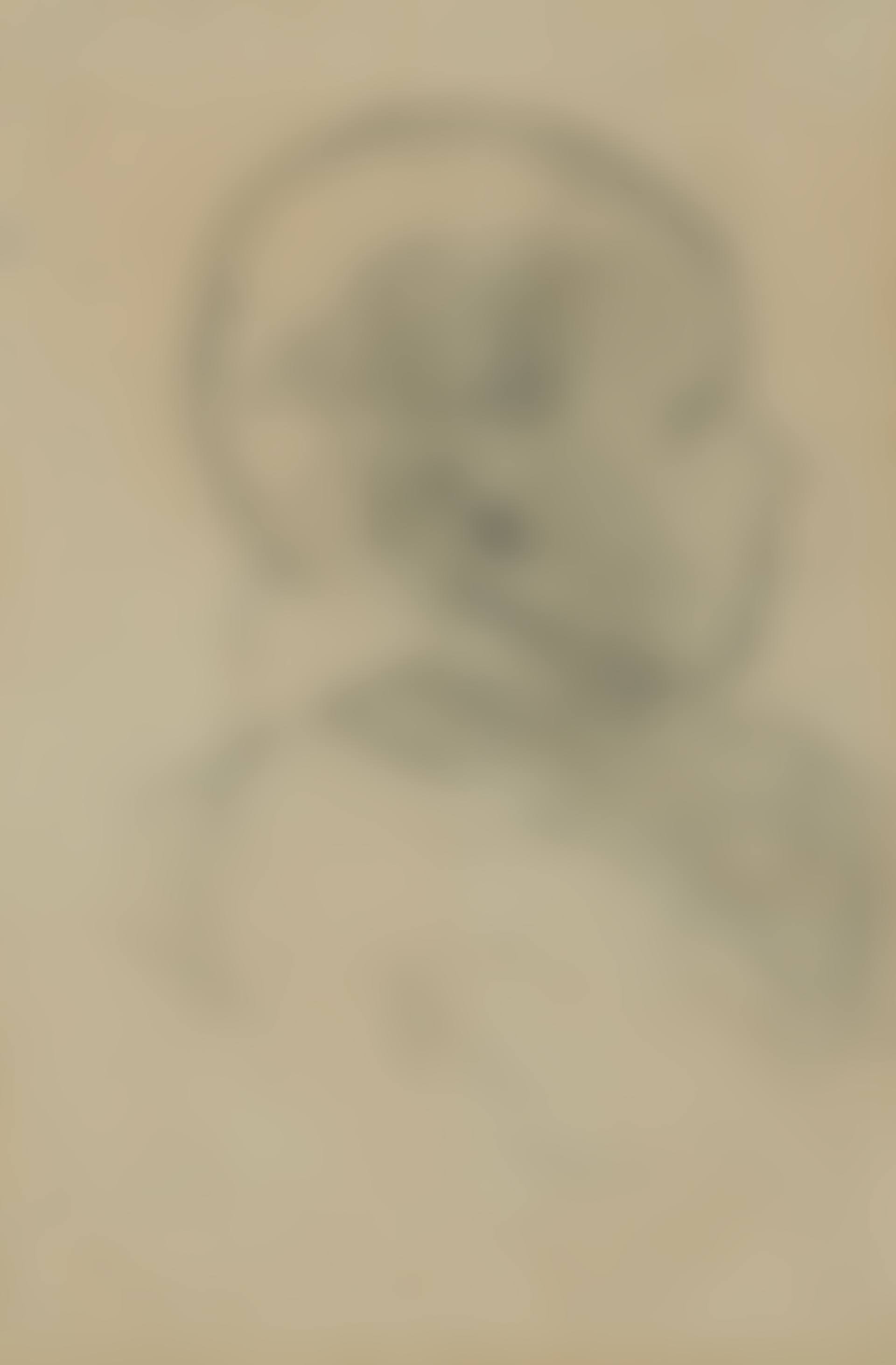 Portrait de Clovis (preview)