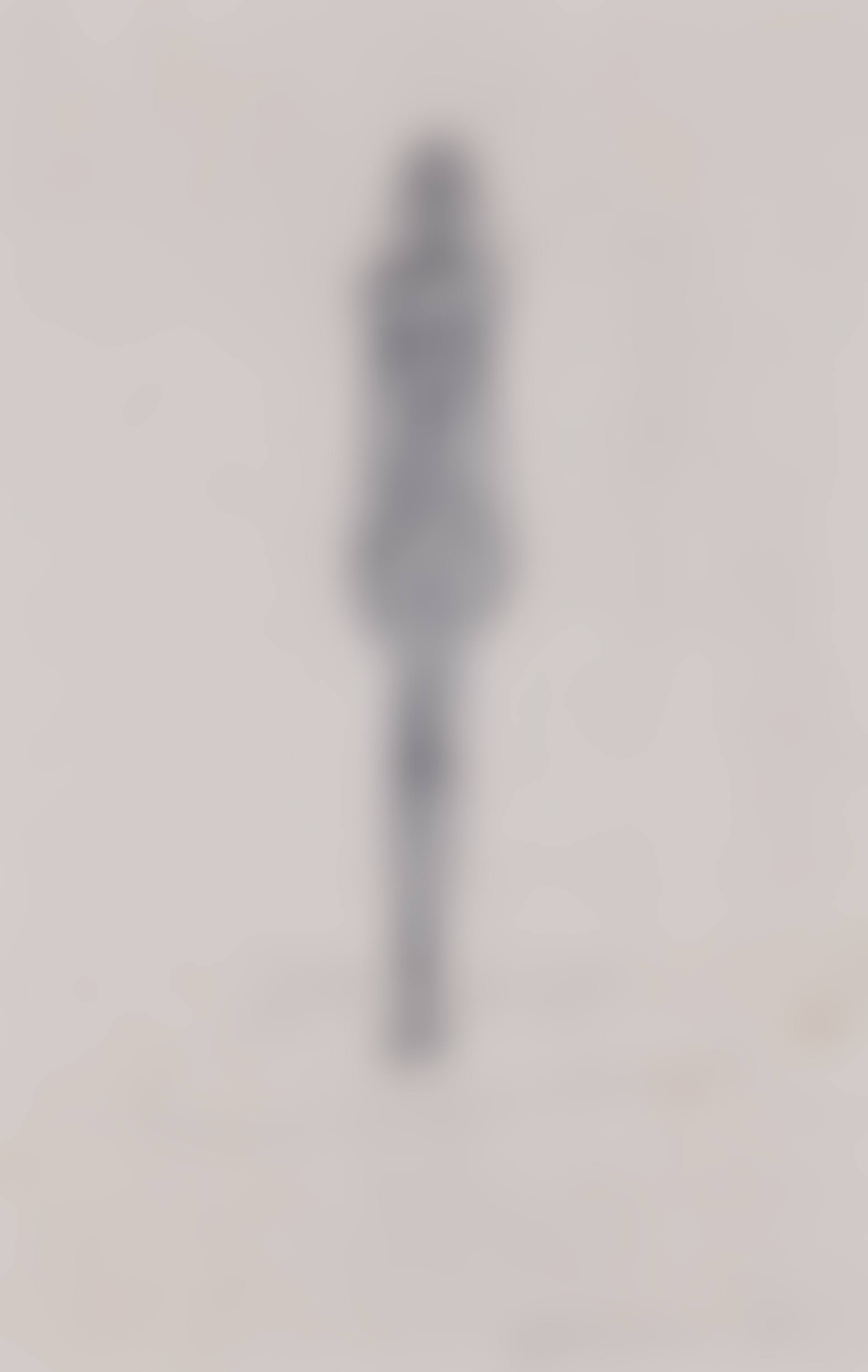Femme nue debout (recto); Bouquet dans un vase (verso) (preview)