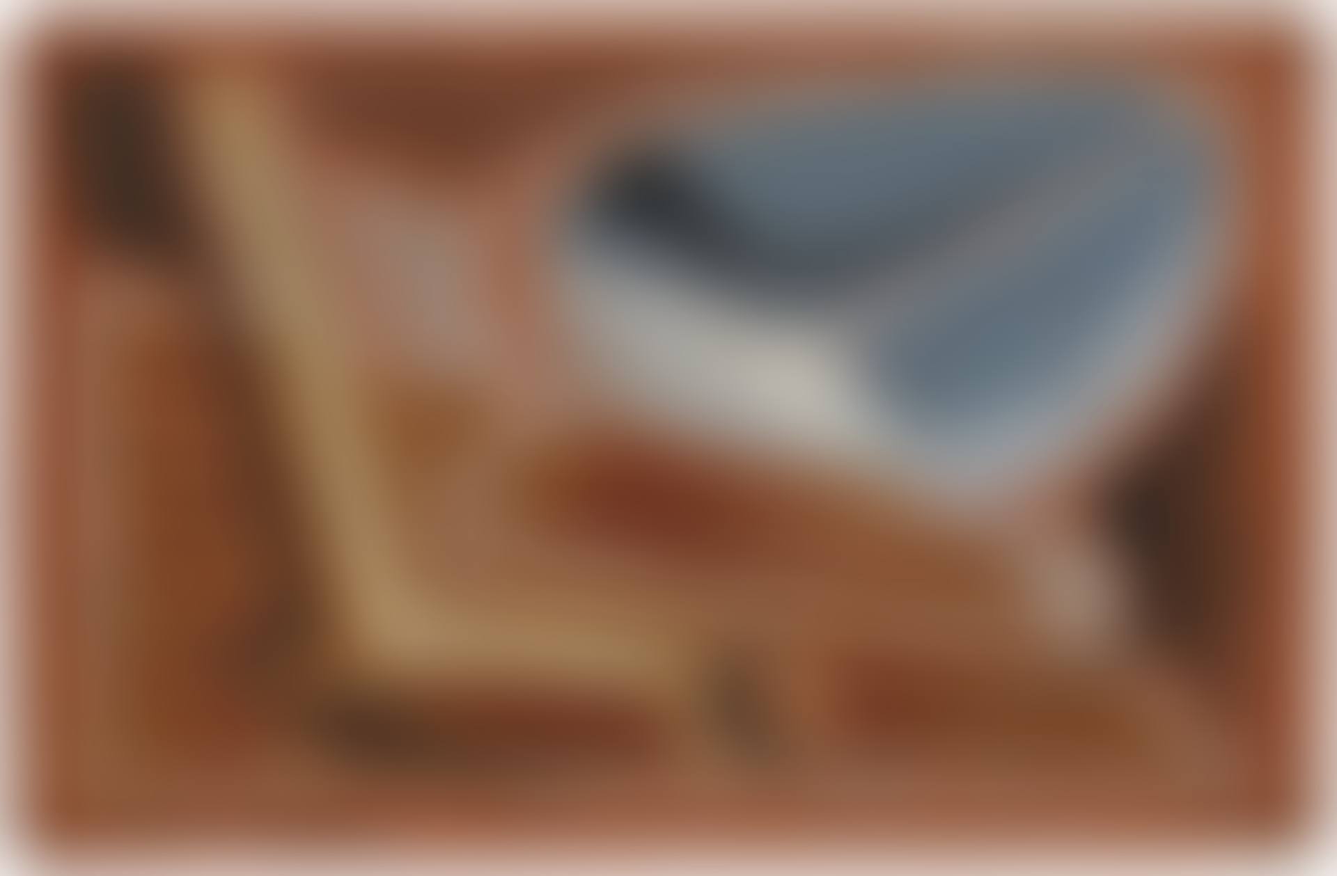 Le bol (preview)