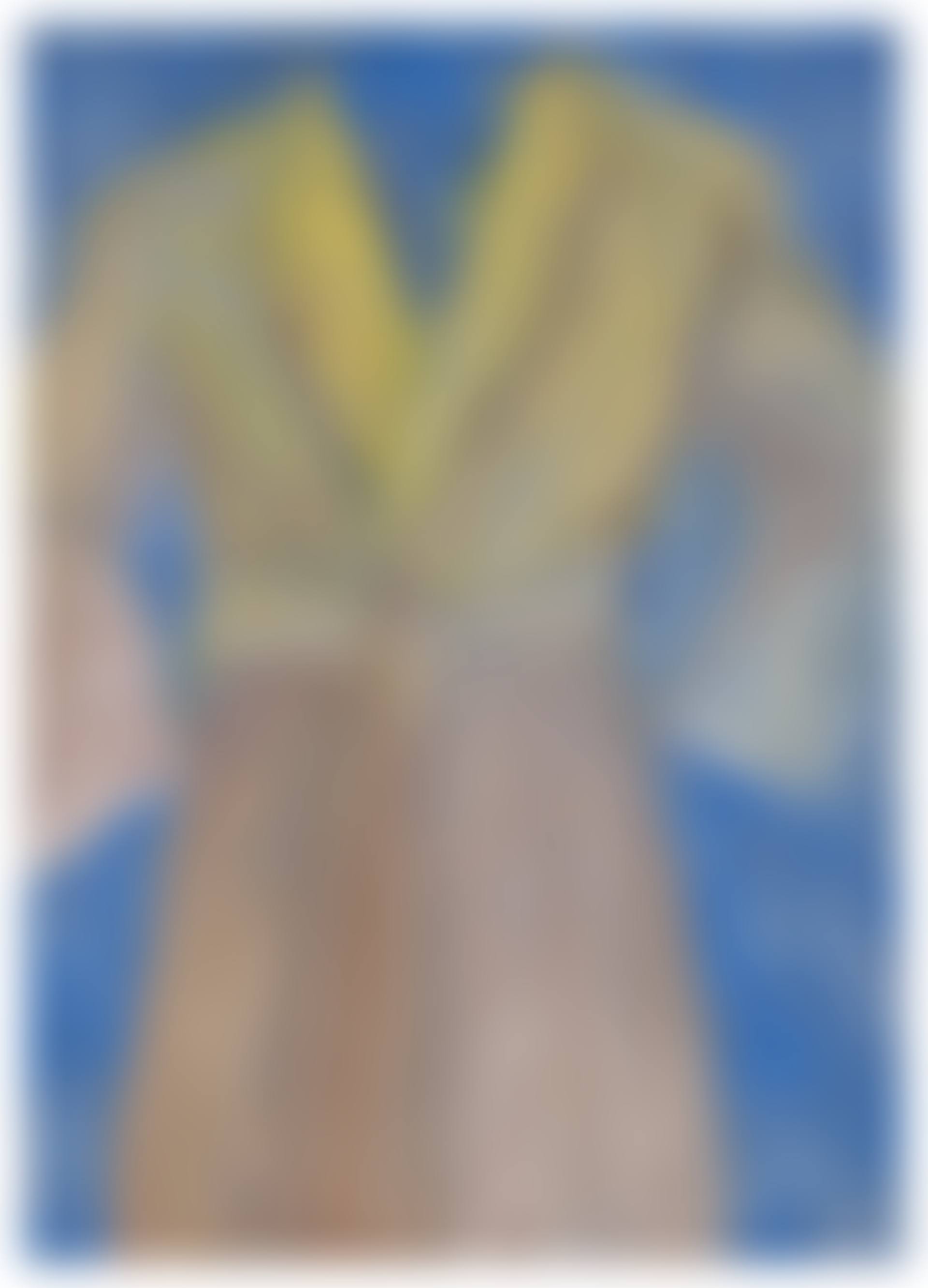Untitled (Robe) IV (preview)