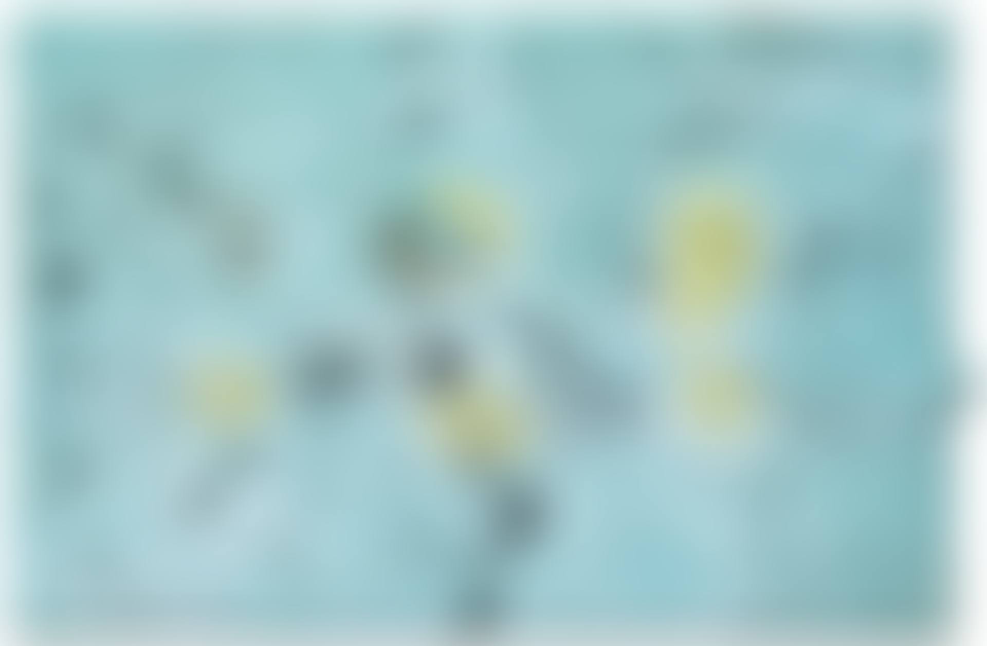 Animalari (Renifleurs) (preview)