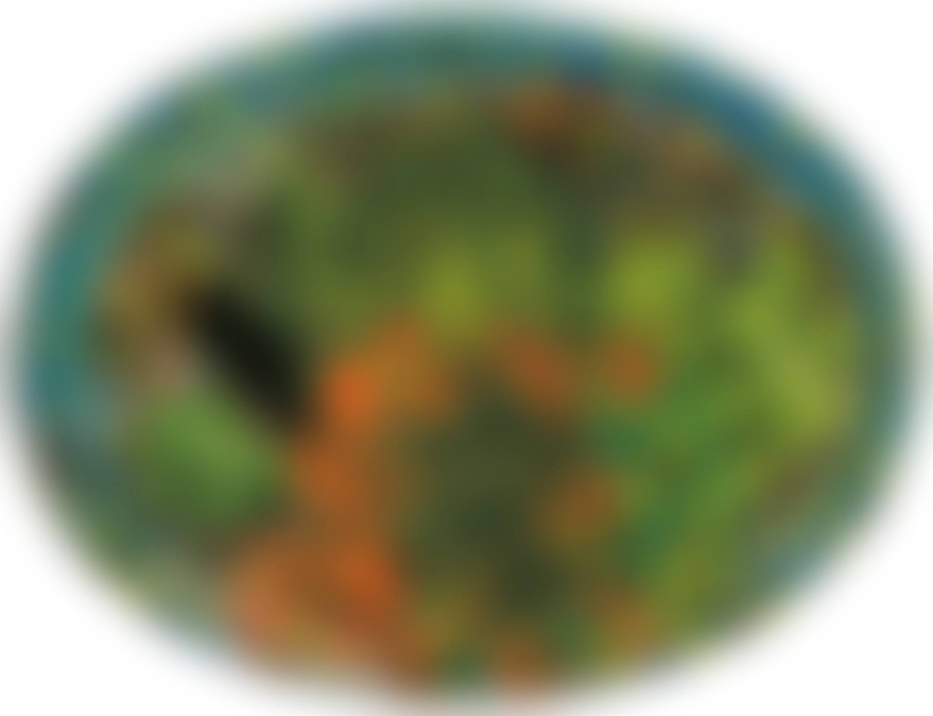 In Central Park (preview)