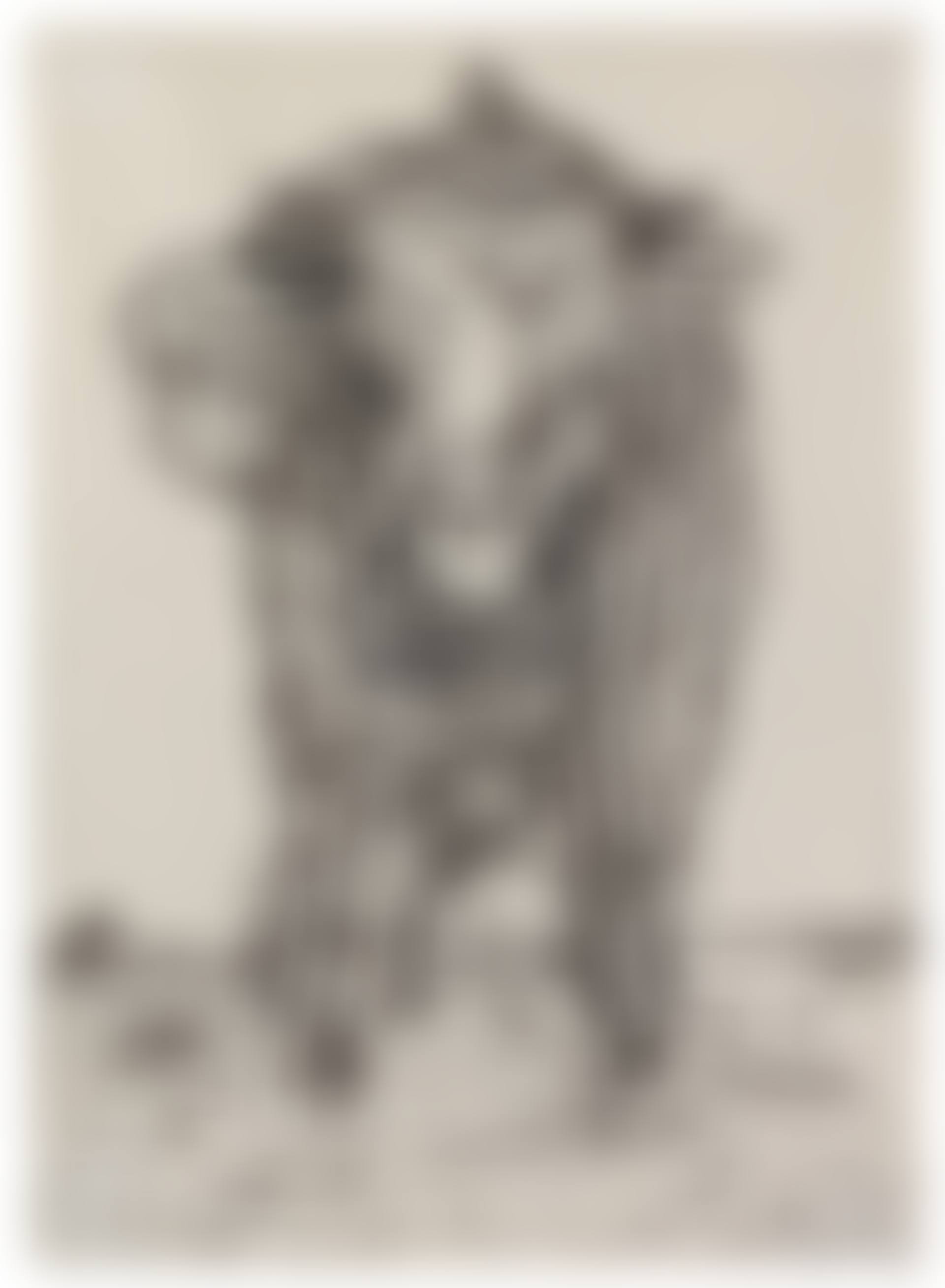 Untitled (Eine Kuh (A Cow)) (preview)