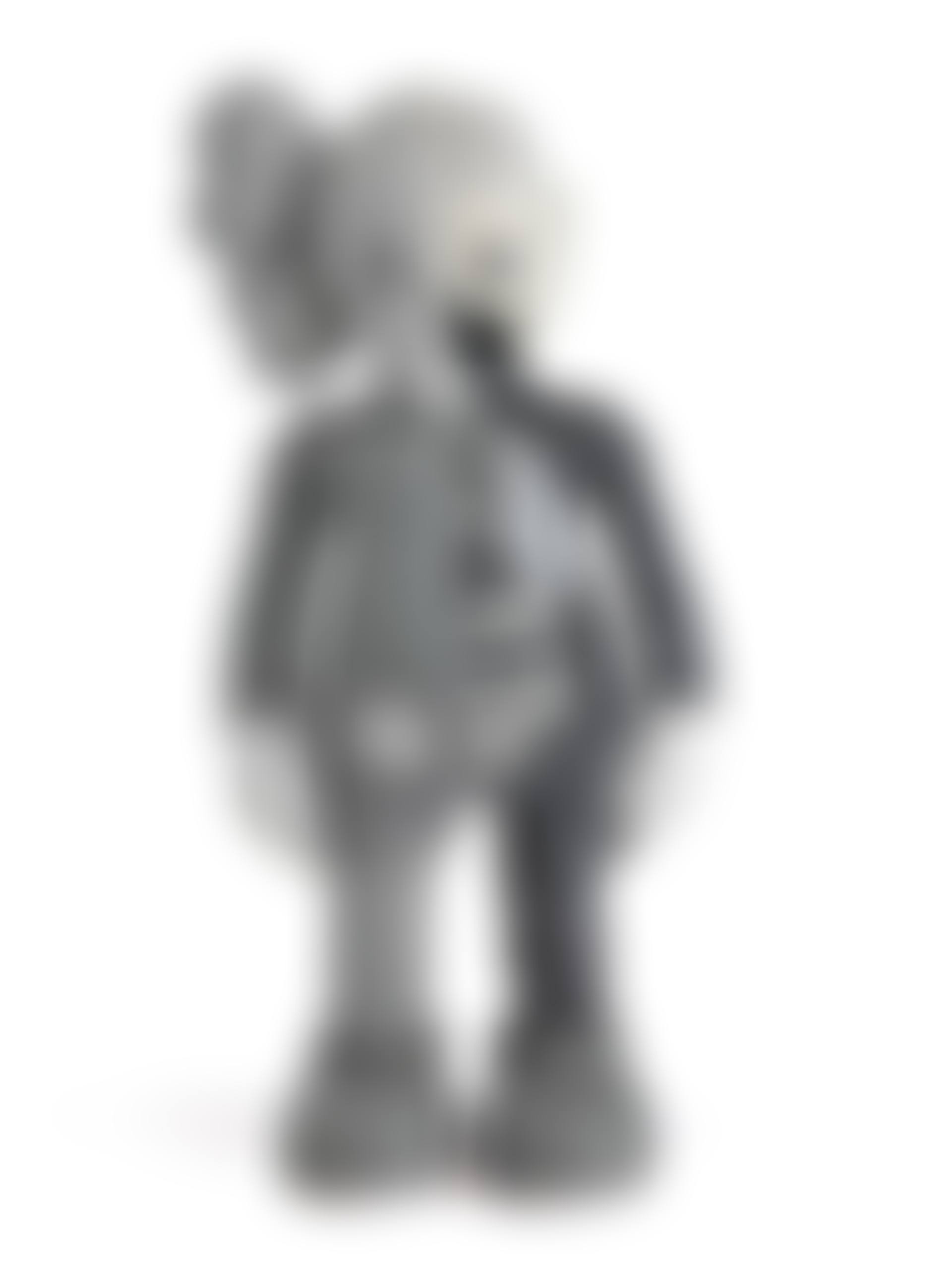 DISSECTED COMPANION (GREY) (preview)