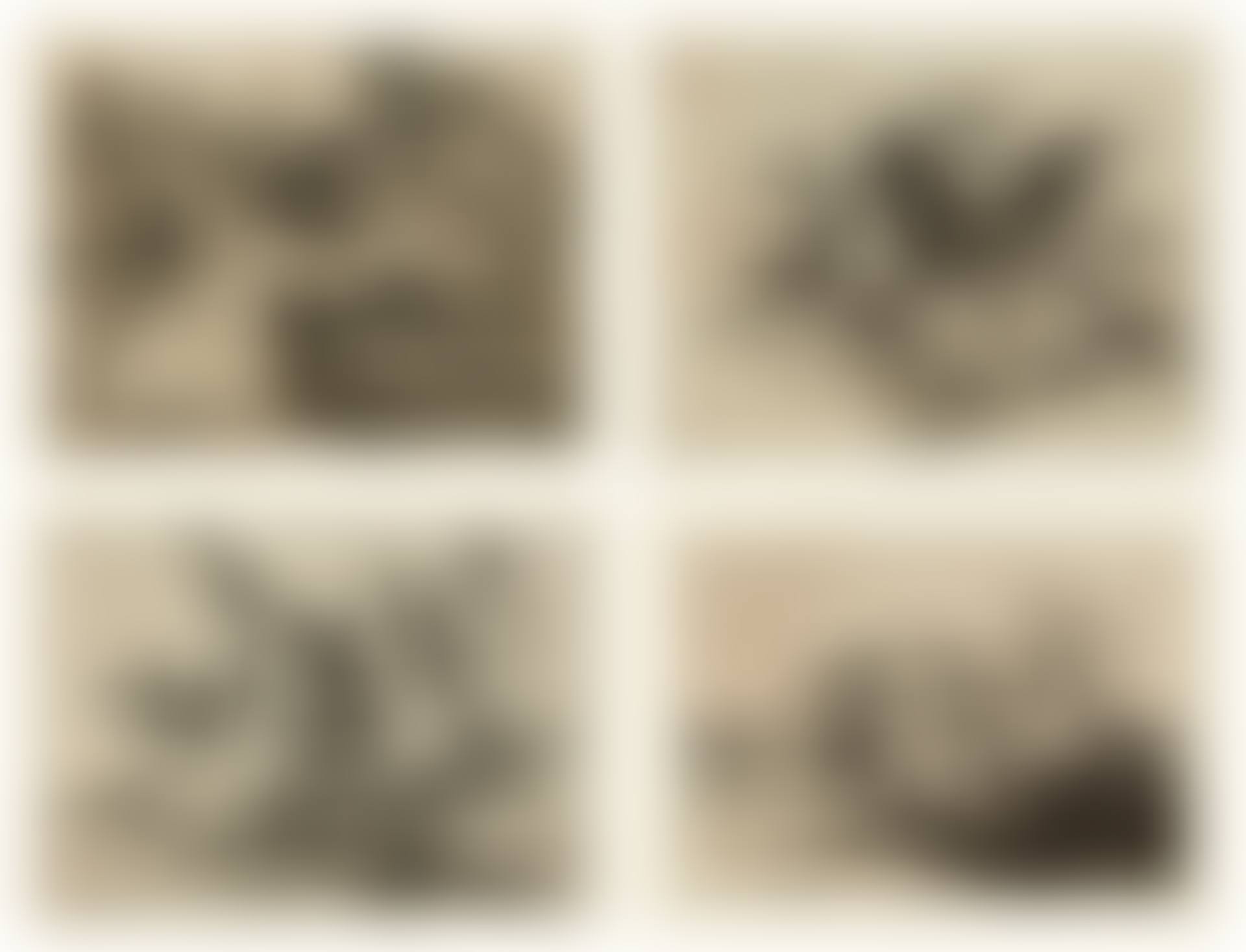 Los Desastres de la Guerra (preview)