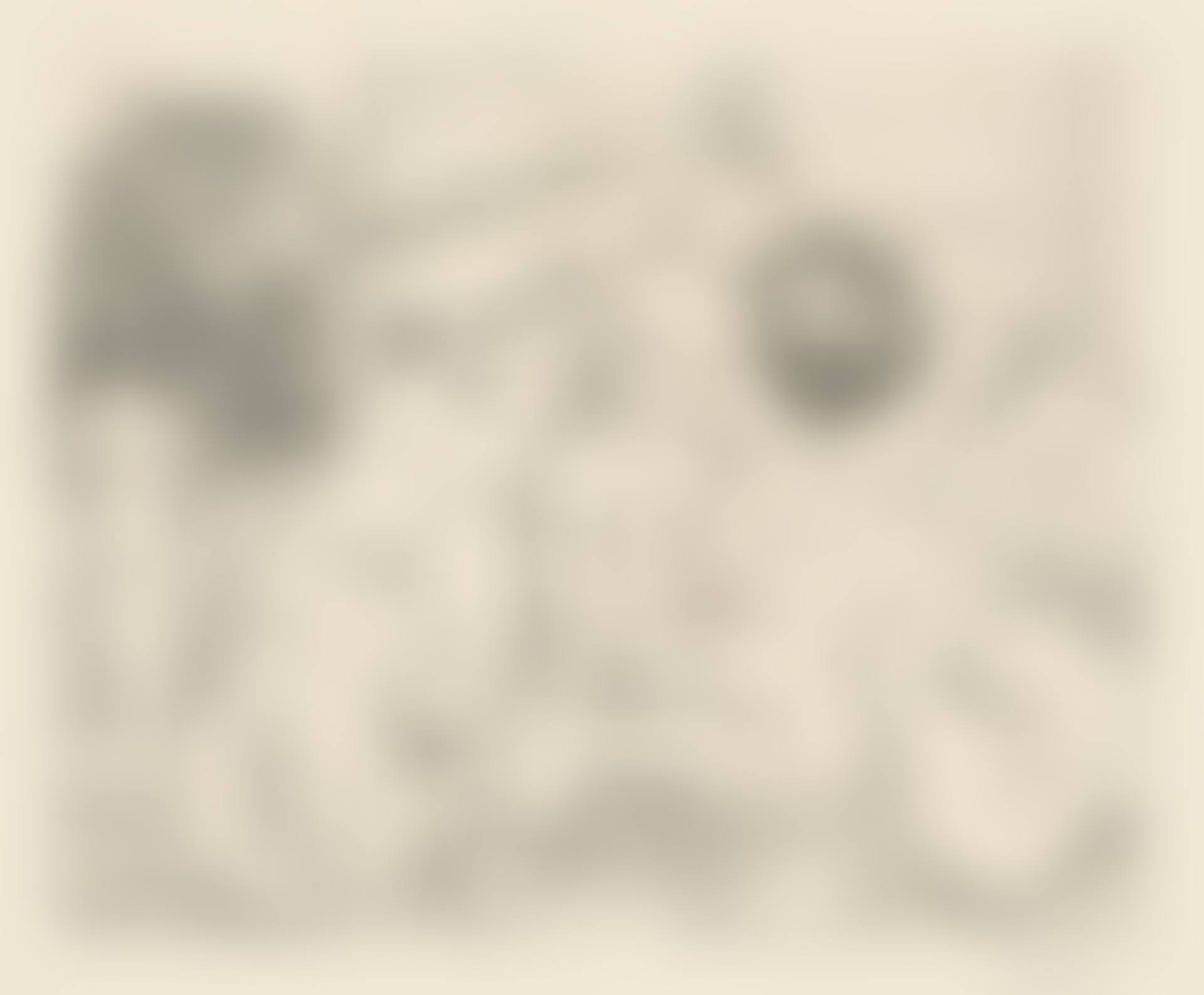 Scéne bacchique au minotaure, from: La Suite Vollard (preview)
