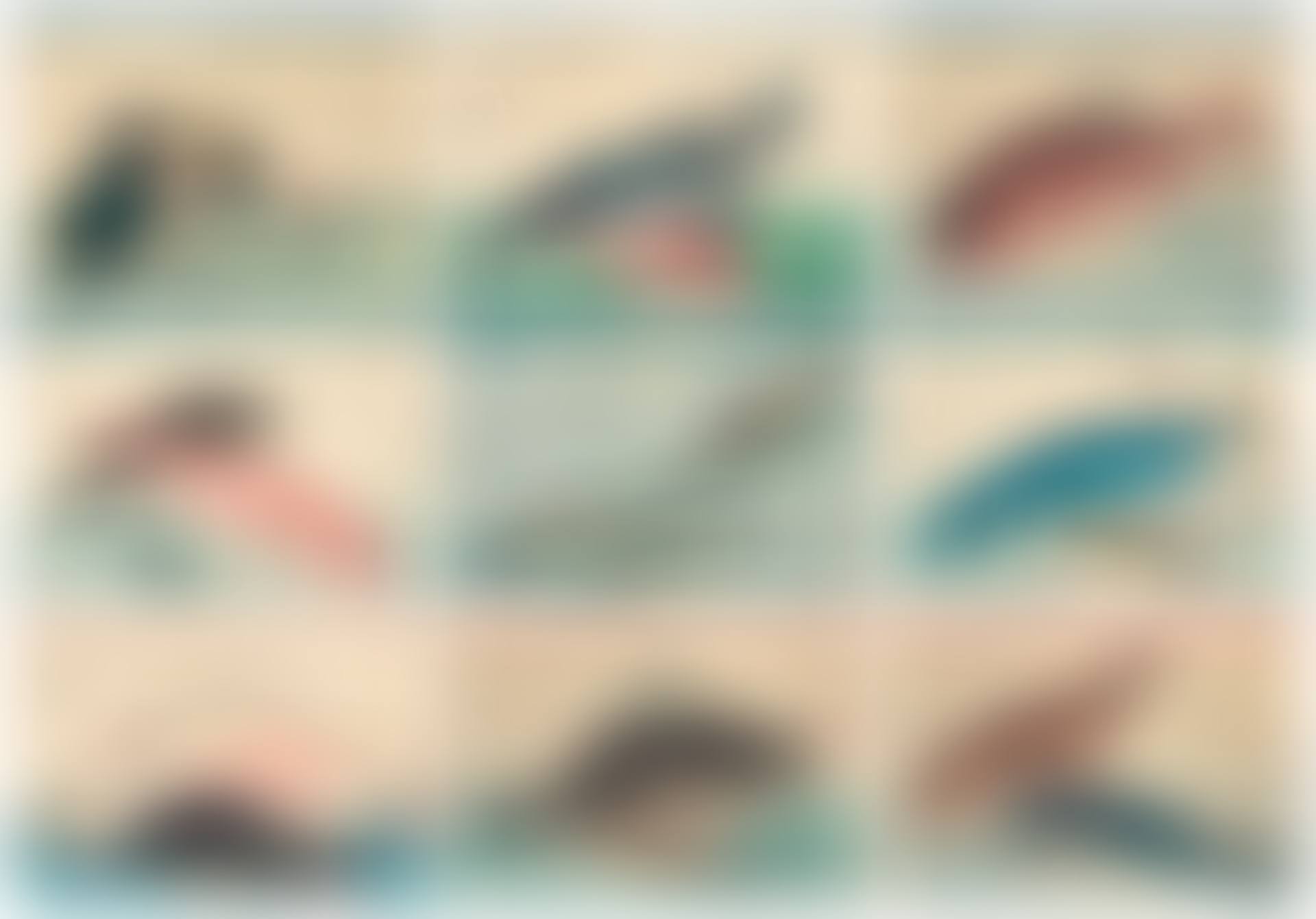 A complete set of the untitled series of large fish (Uozukushi) (preview)