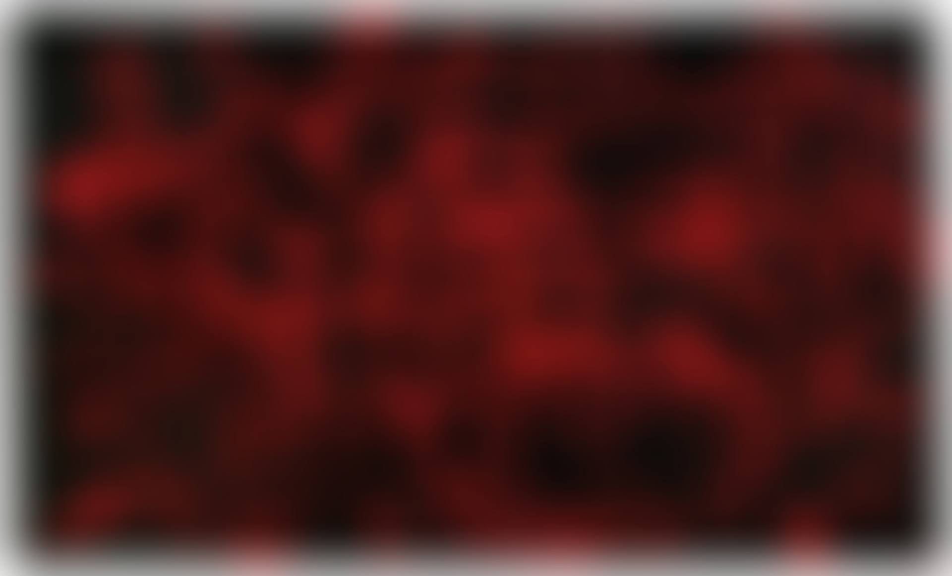 Assedio rosso n.3 (preview)