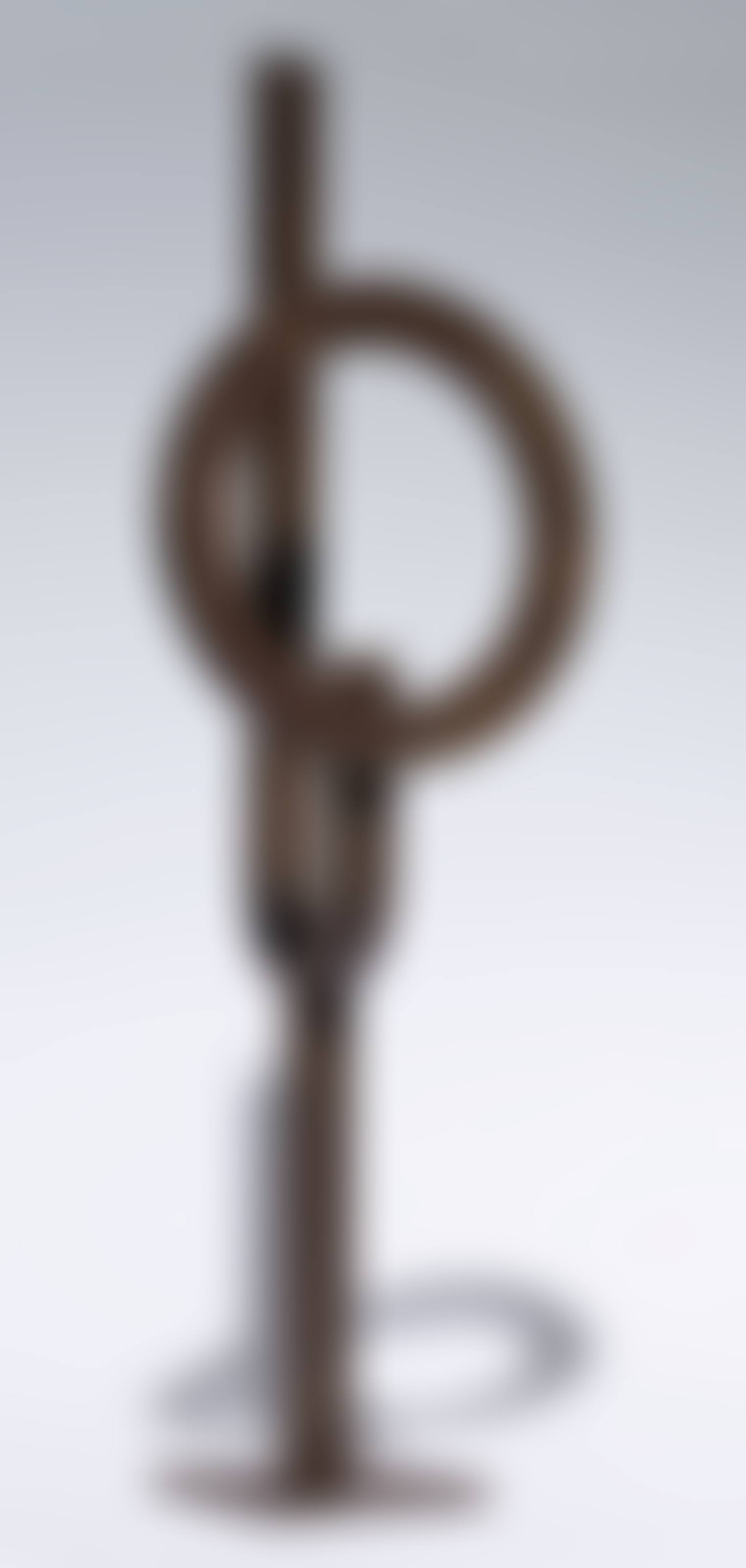 Scultura con cerchio (preview)