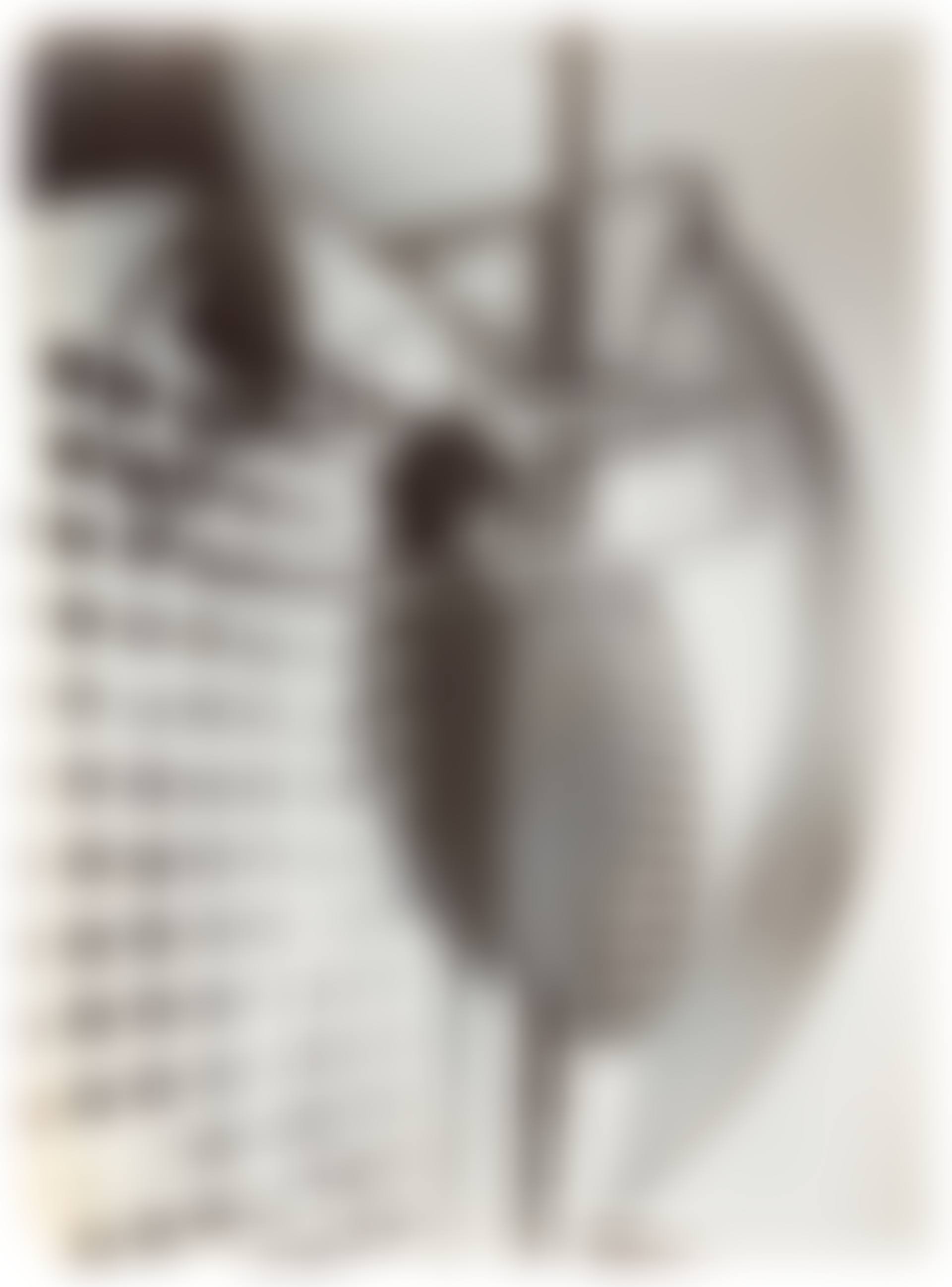 Detail of Light Prop for an Electric Stage (Light-Space Modulator), 1922–1930 (preview)