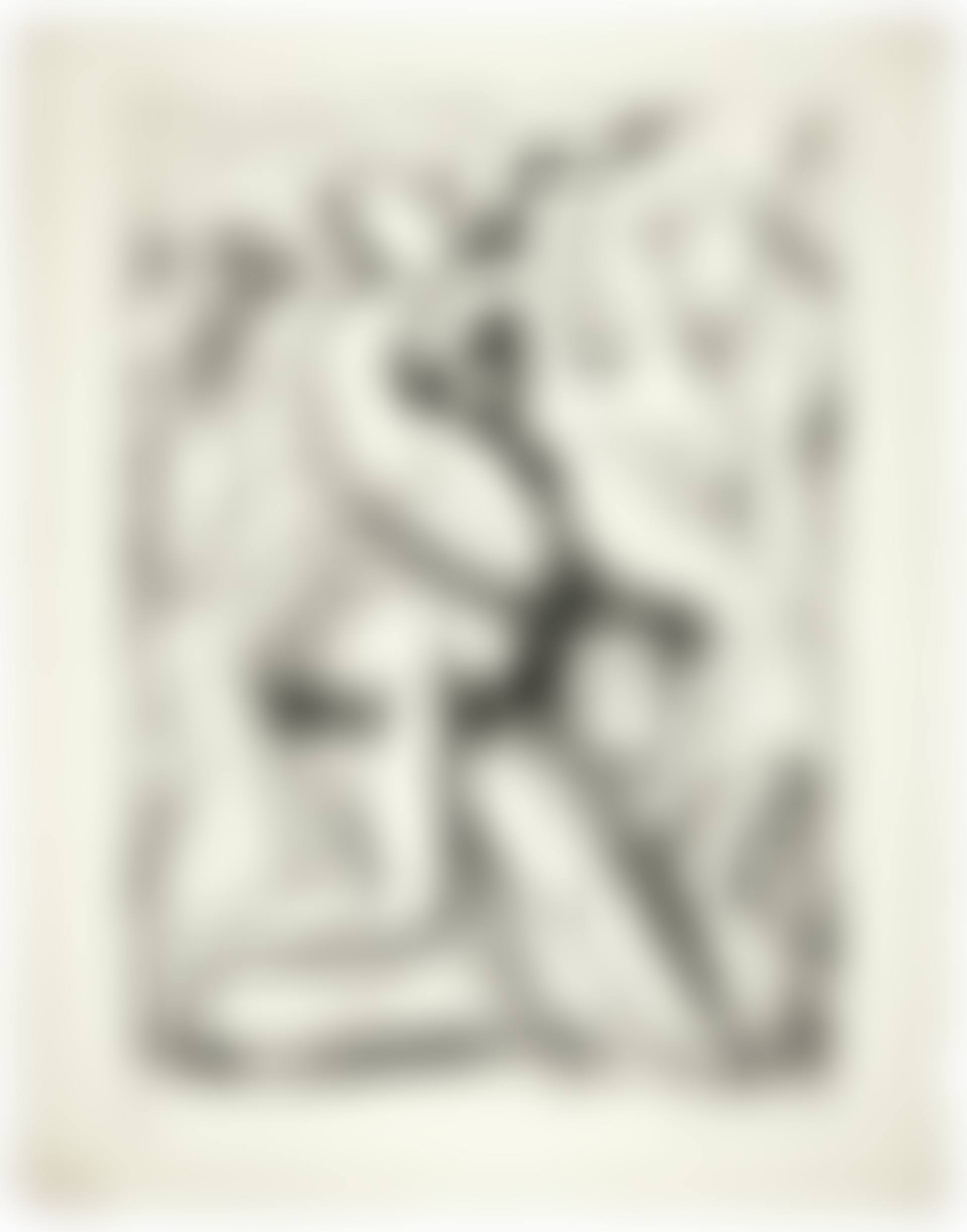 Femme attaquée par des oiseaux, 
from Brunidor Portfolio Number 2 (preview)