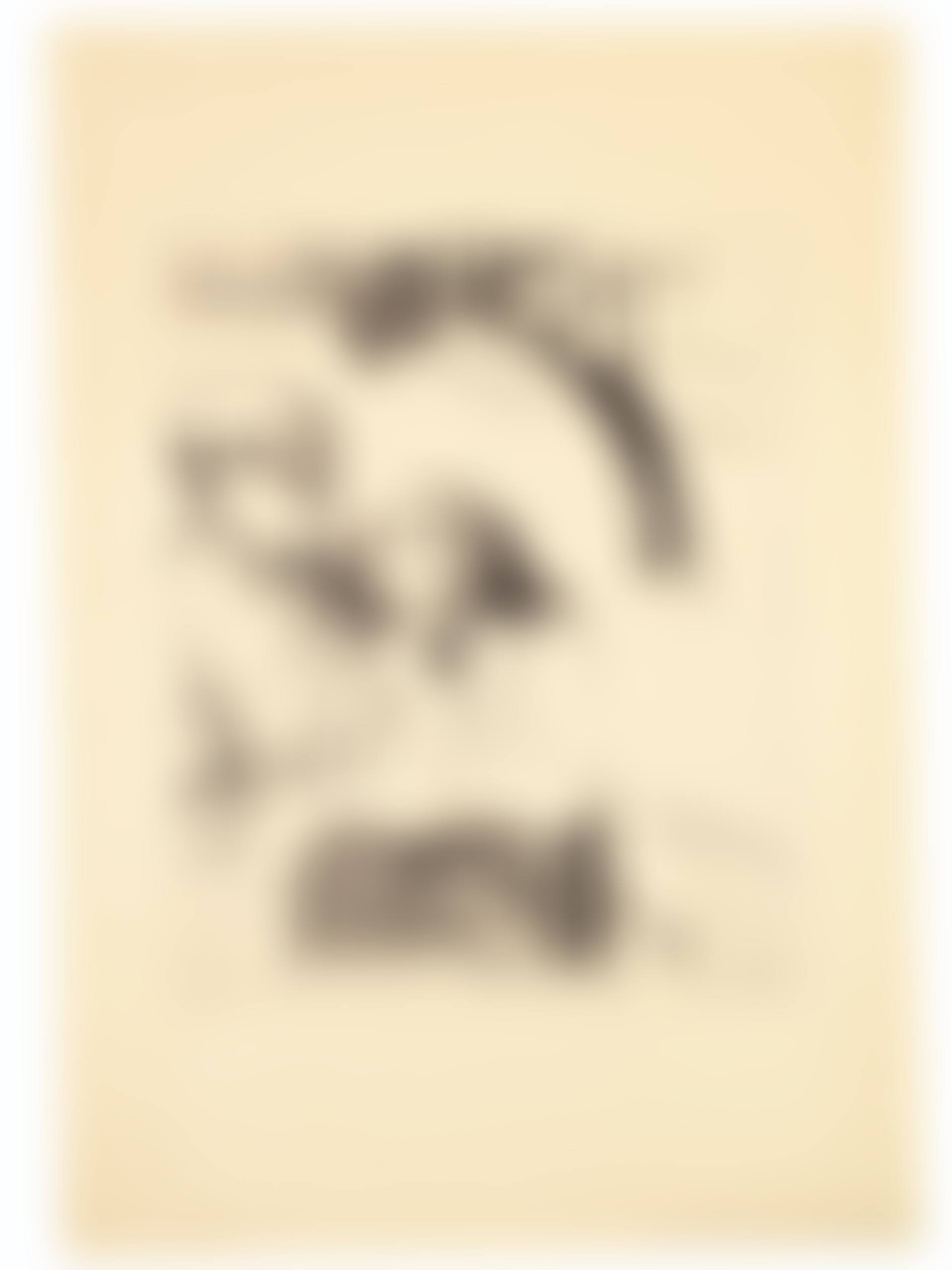 Misères humaines, from 10 Zincographies (preview)
