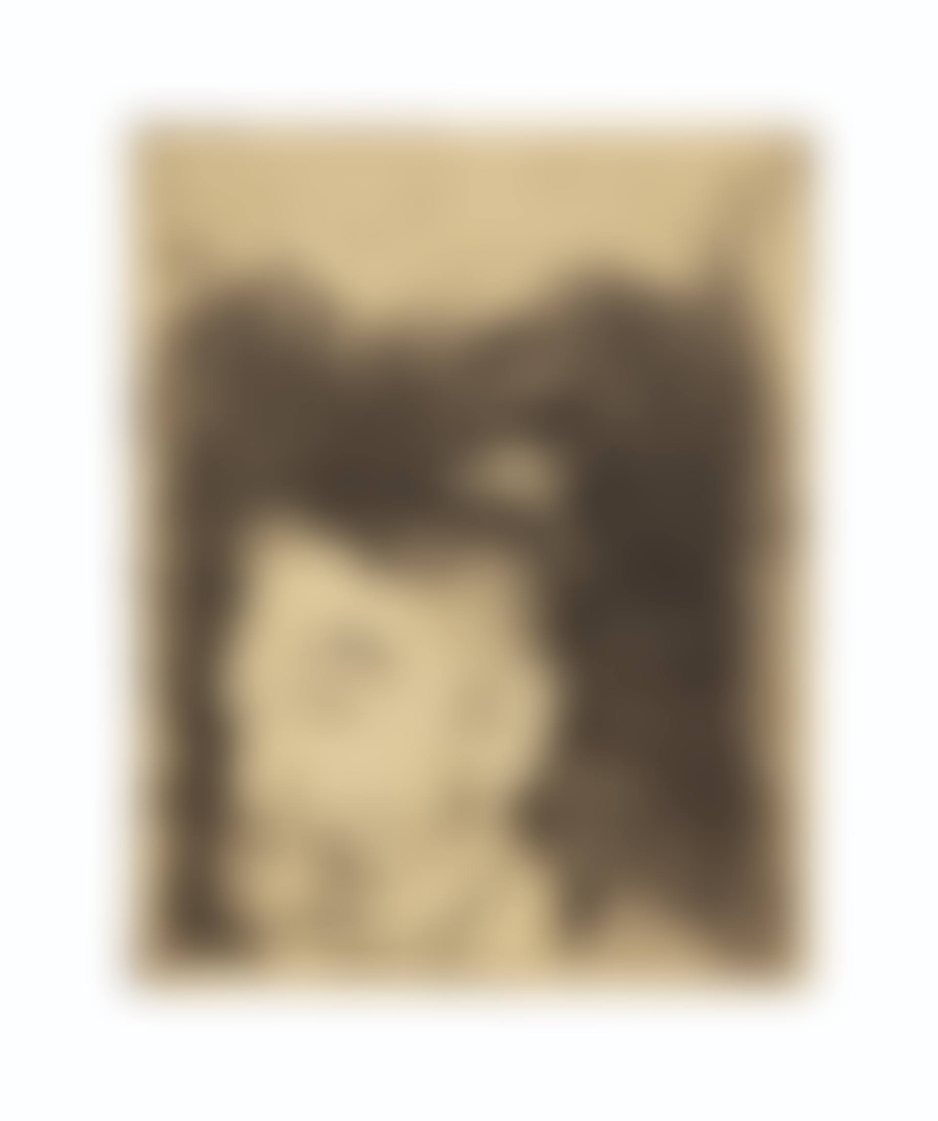 Portrait de Stéphane Mallarmé (preview)