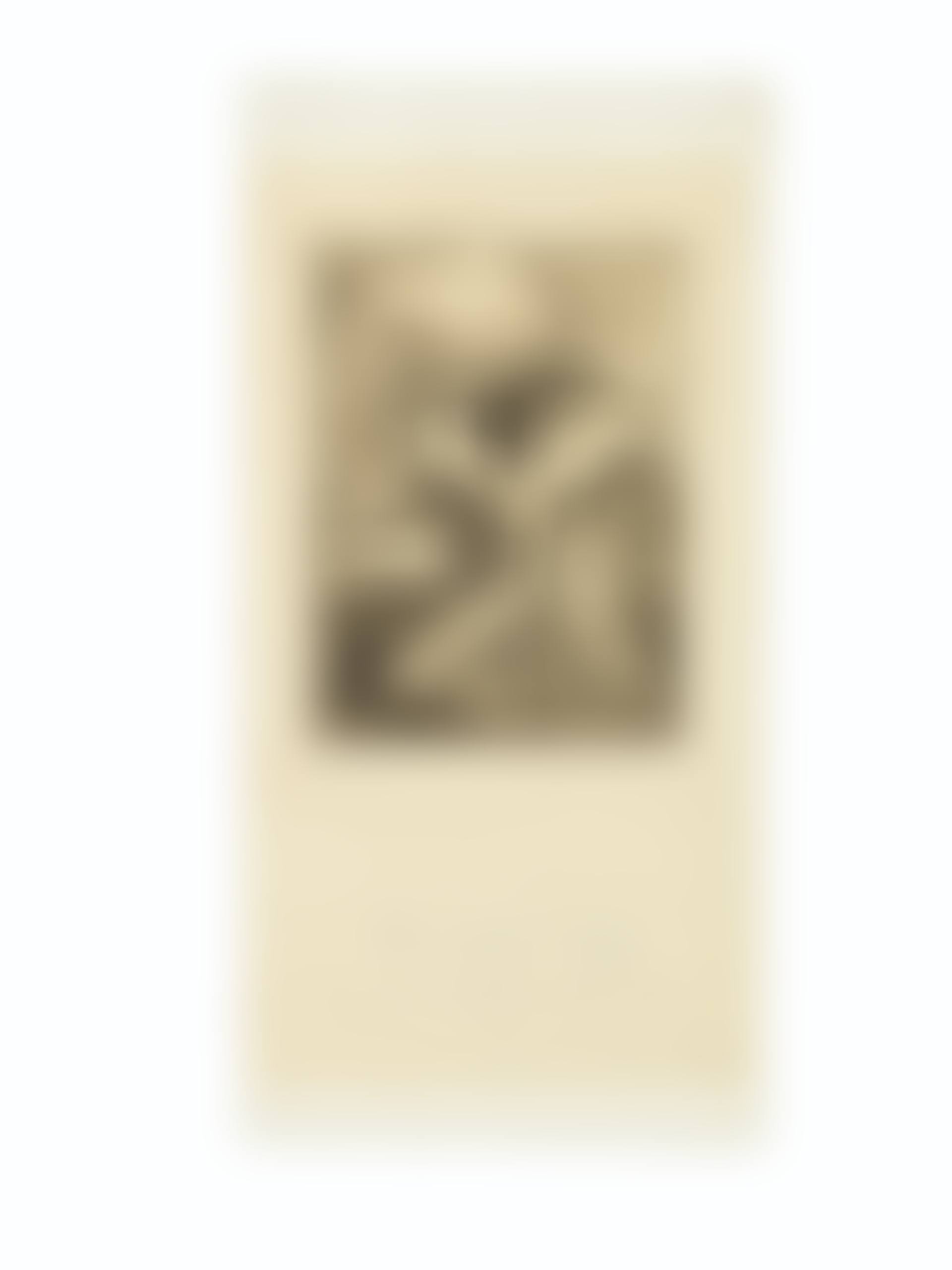 Untitled, from La Loterie du jardin zoologique (preview)