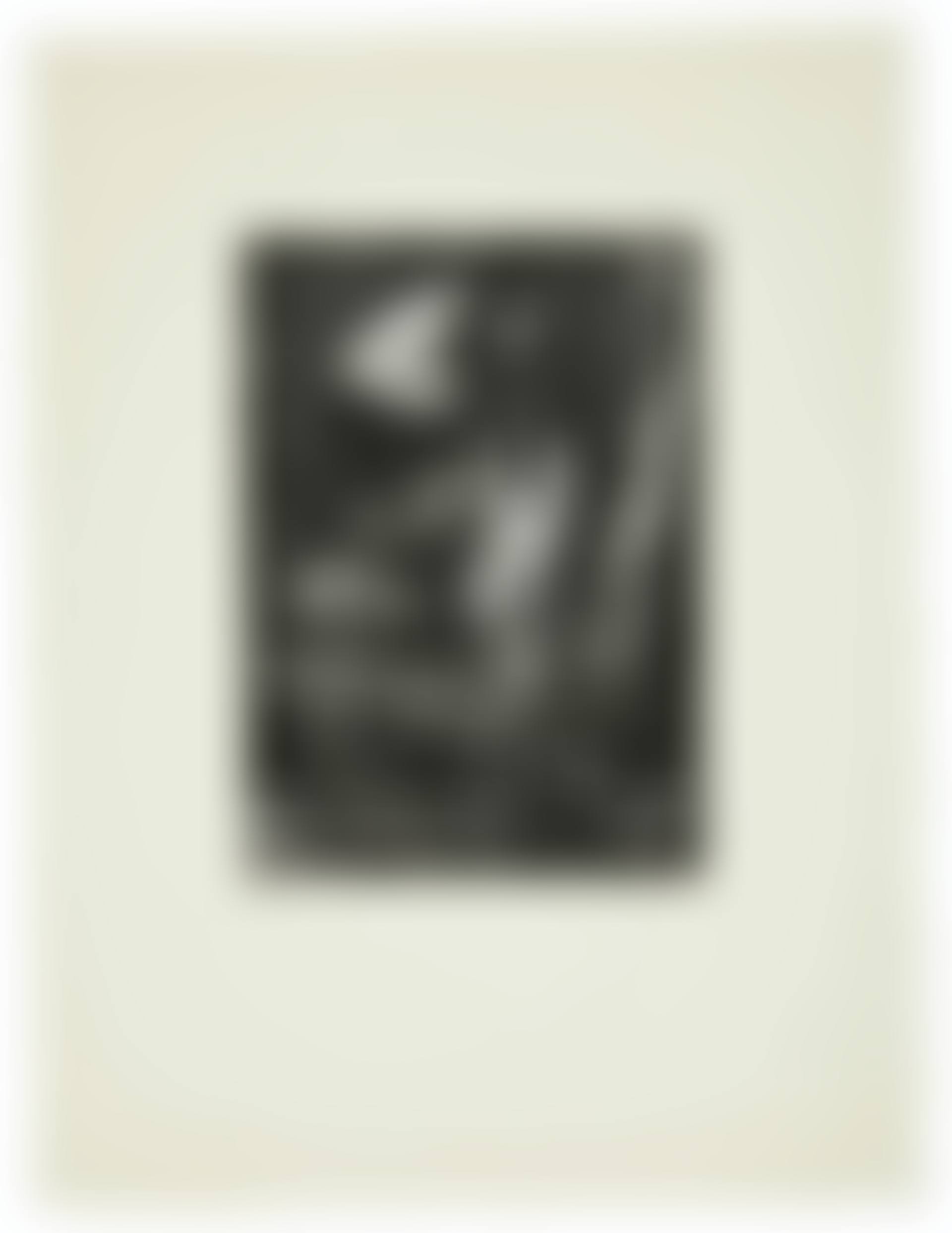 Untitled, from Mort aux vaches et au champ d'honneur (preview)
