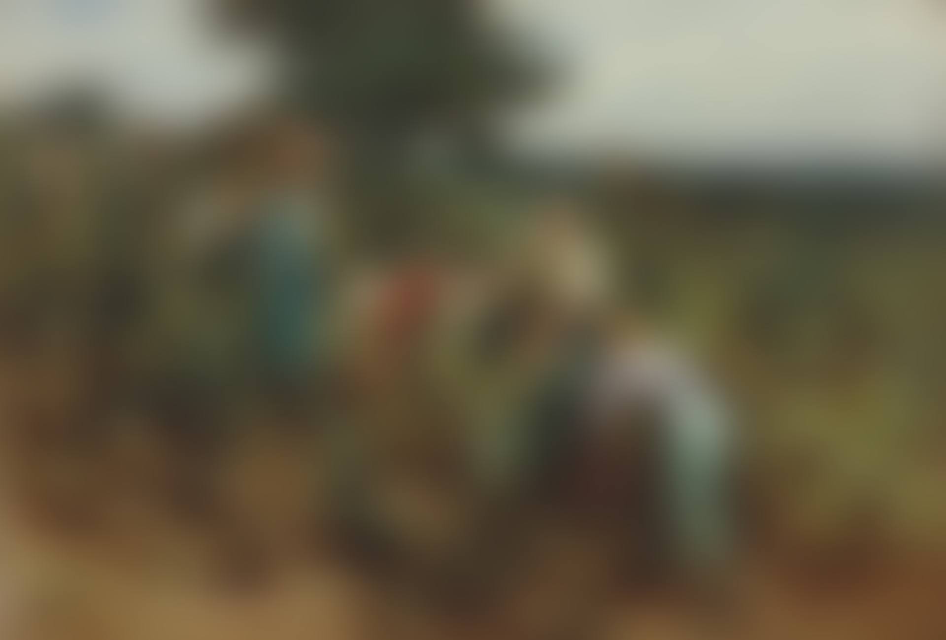La vendange à Mont-Saint-Père (preview)