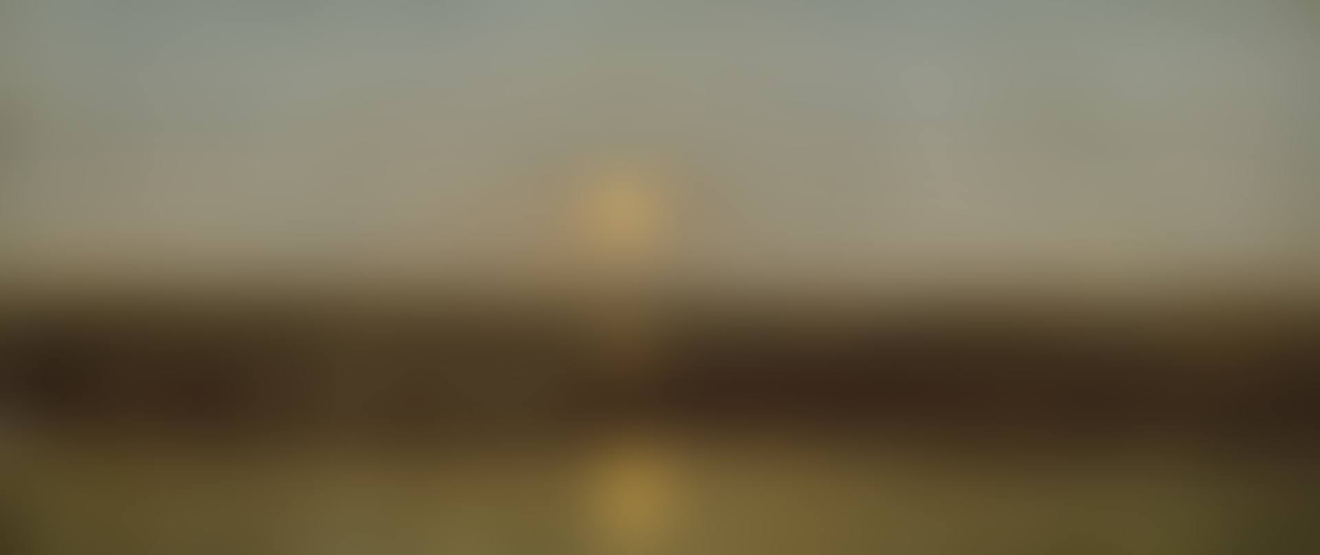 Moonrise on the Seashore (preview)