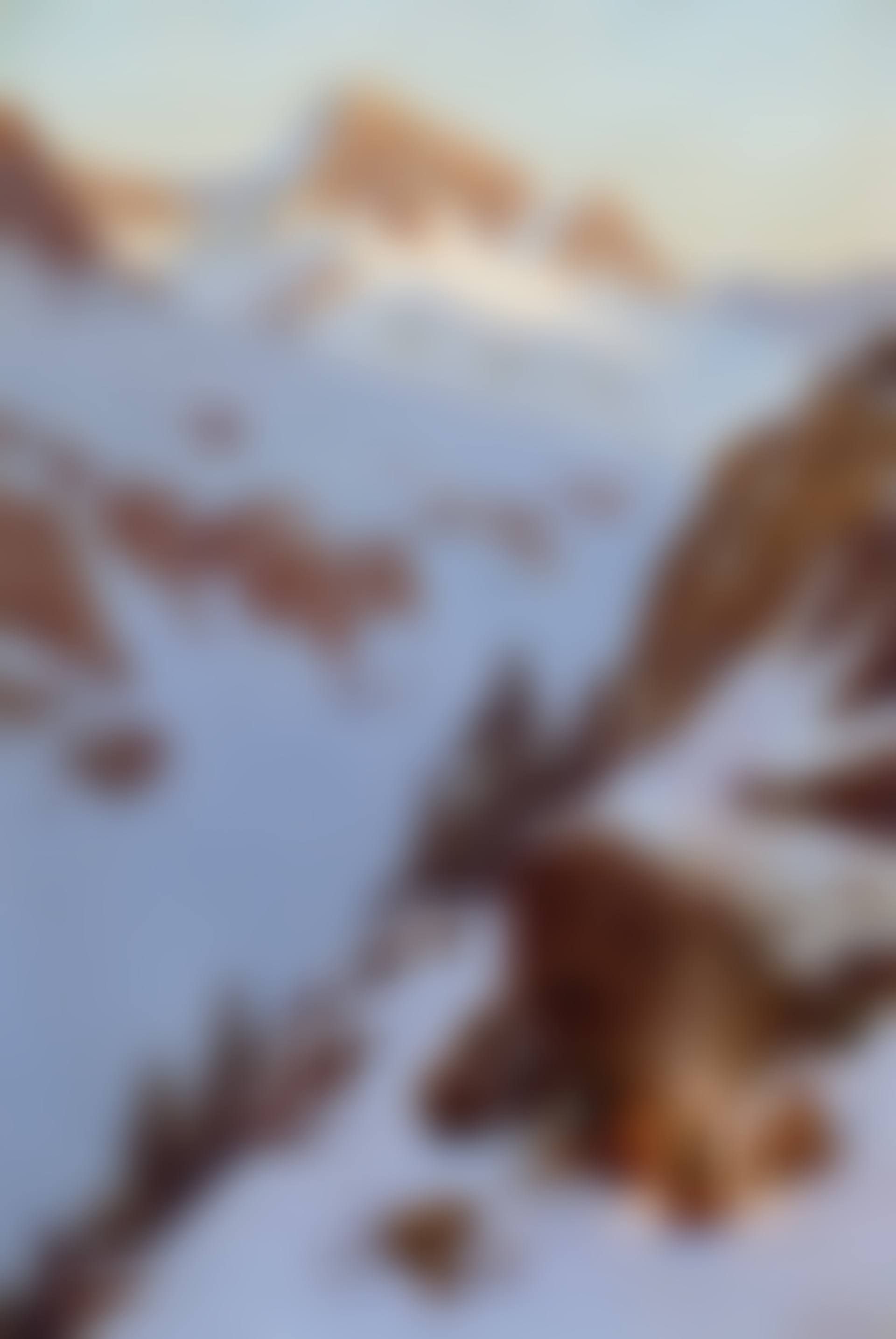 The Day is Done (preview)