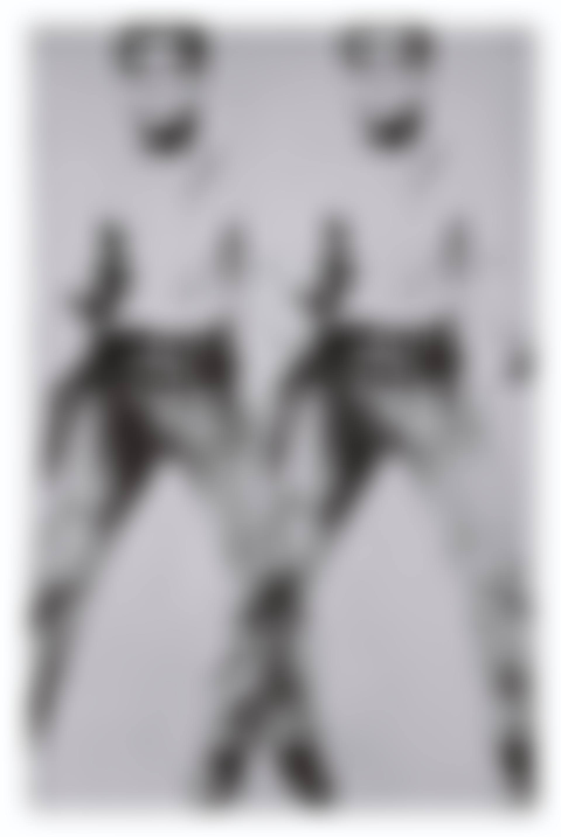 Double Elvis [Ferus Type] (preview)