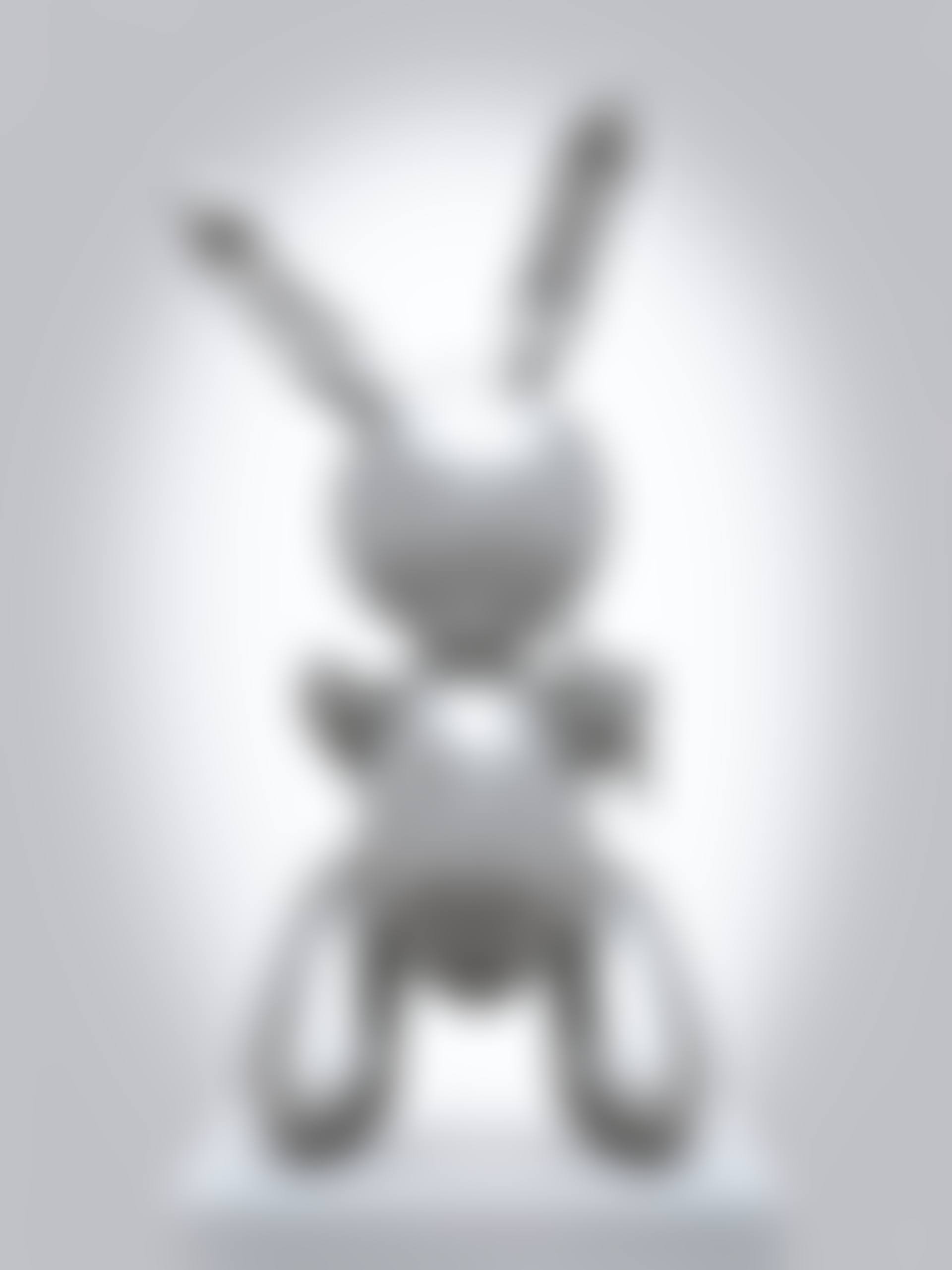 Rabbit (preview)