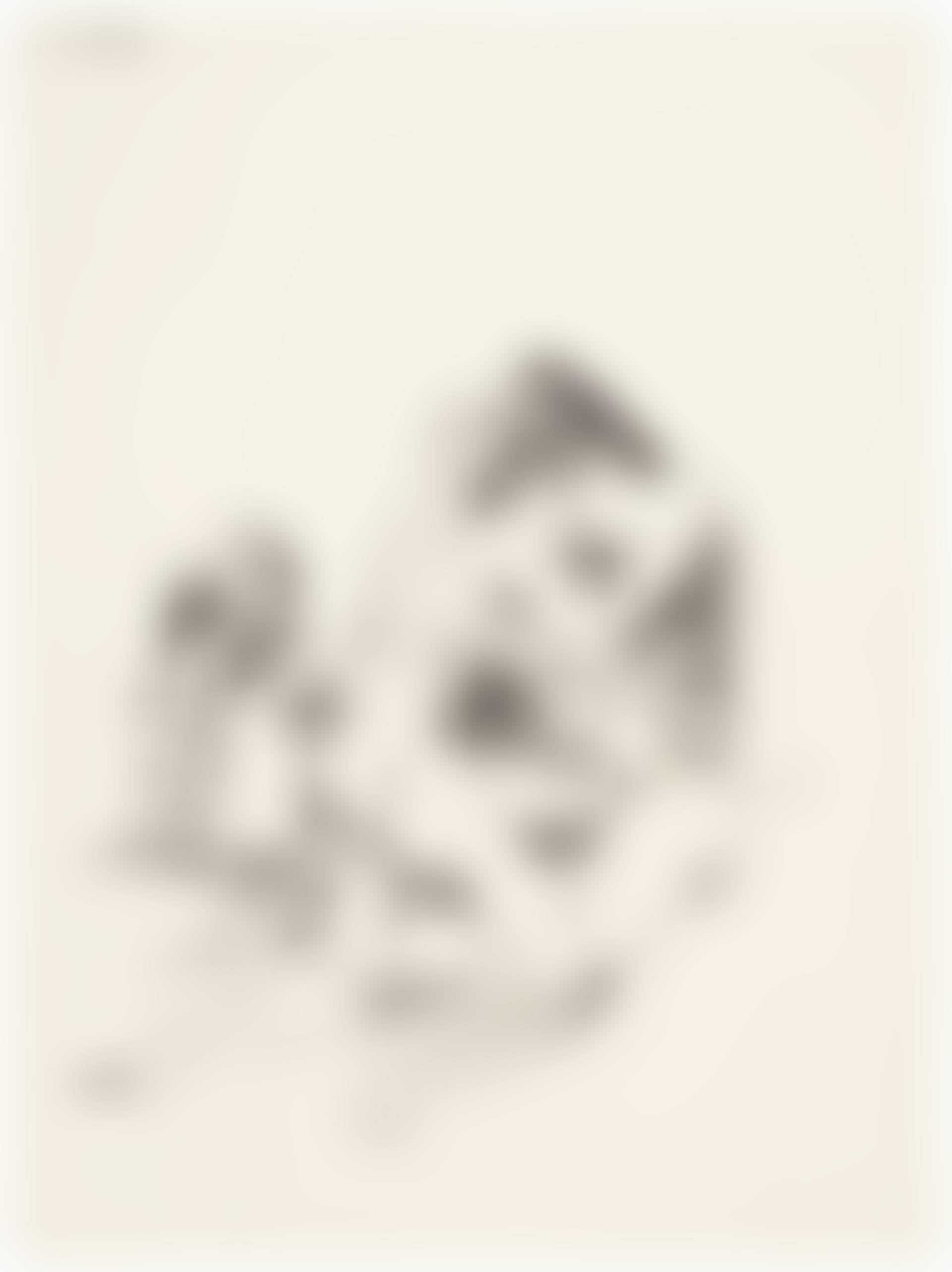 Orgy Composition (preview)