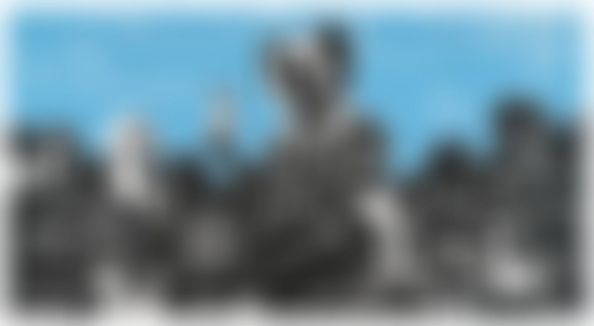 IN THE WOODS (preview)