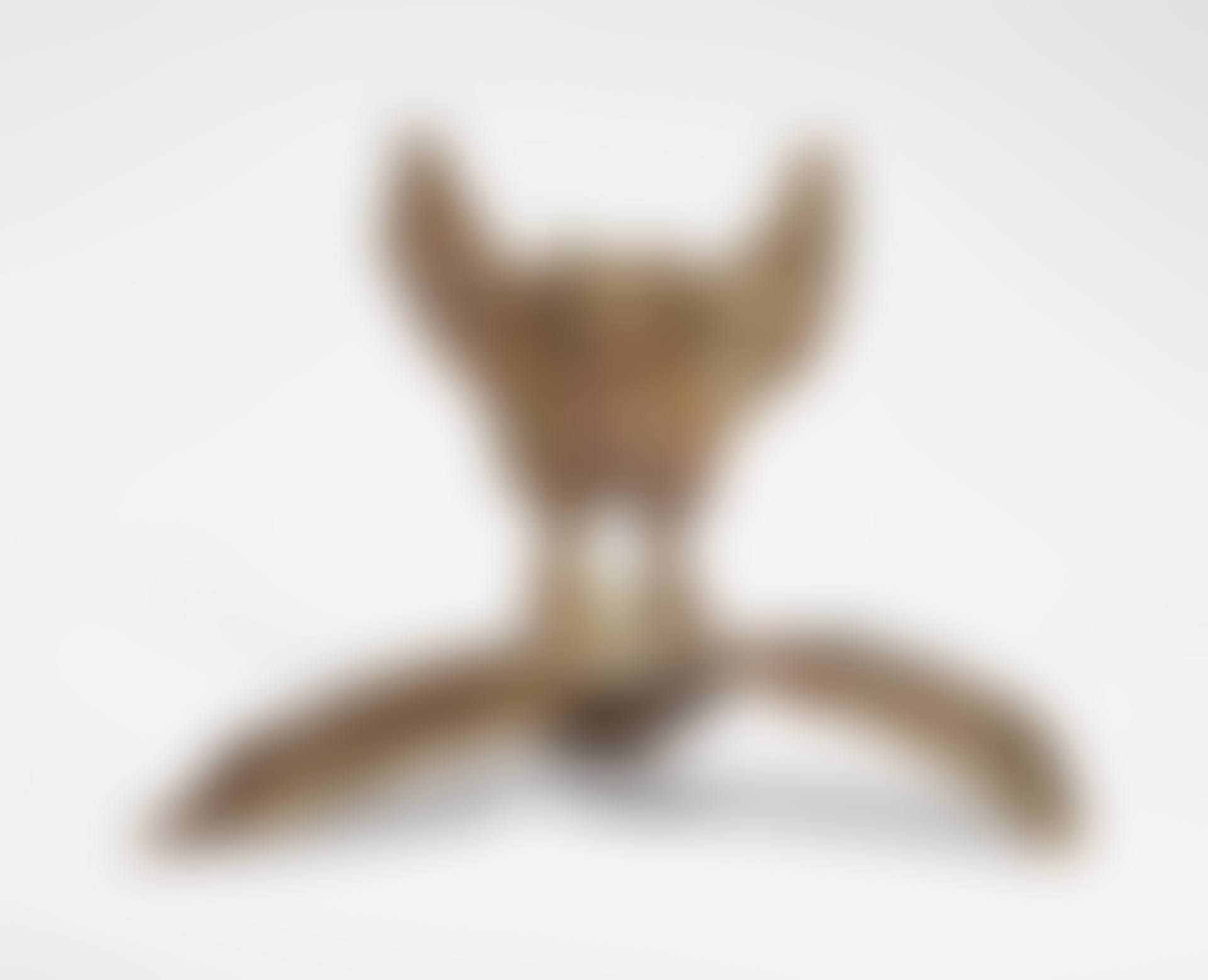 CHAUVE-SOURIS, PIÈCE UNIQUE (preview)