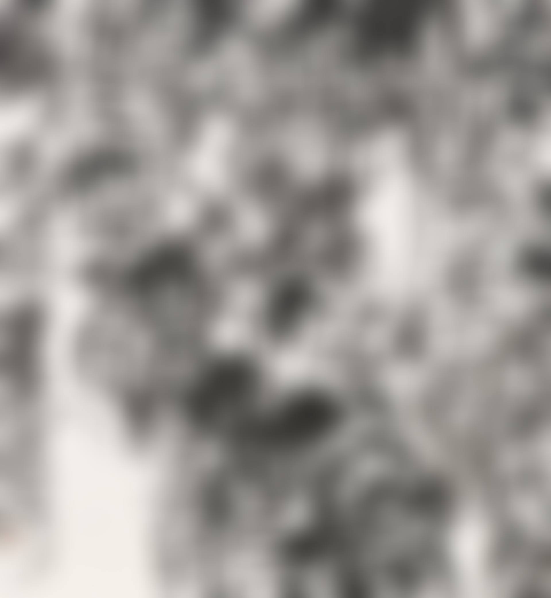 Chaos Script Calligraphy – Her Light Step Does Not Grace Lakeside Road (preview)
