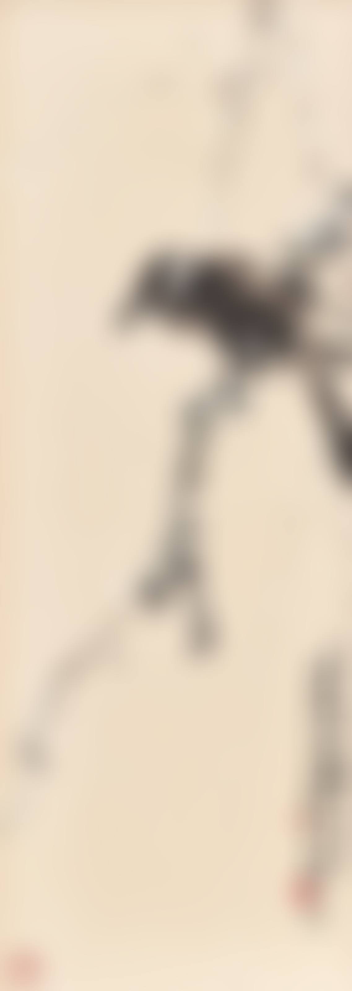 Bird on a Tree Branch (preview)