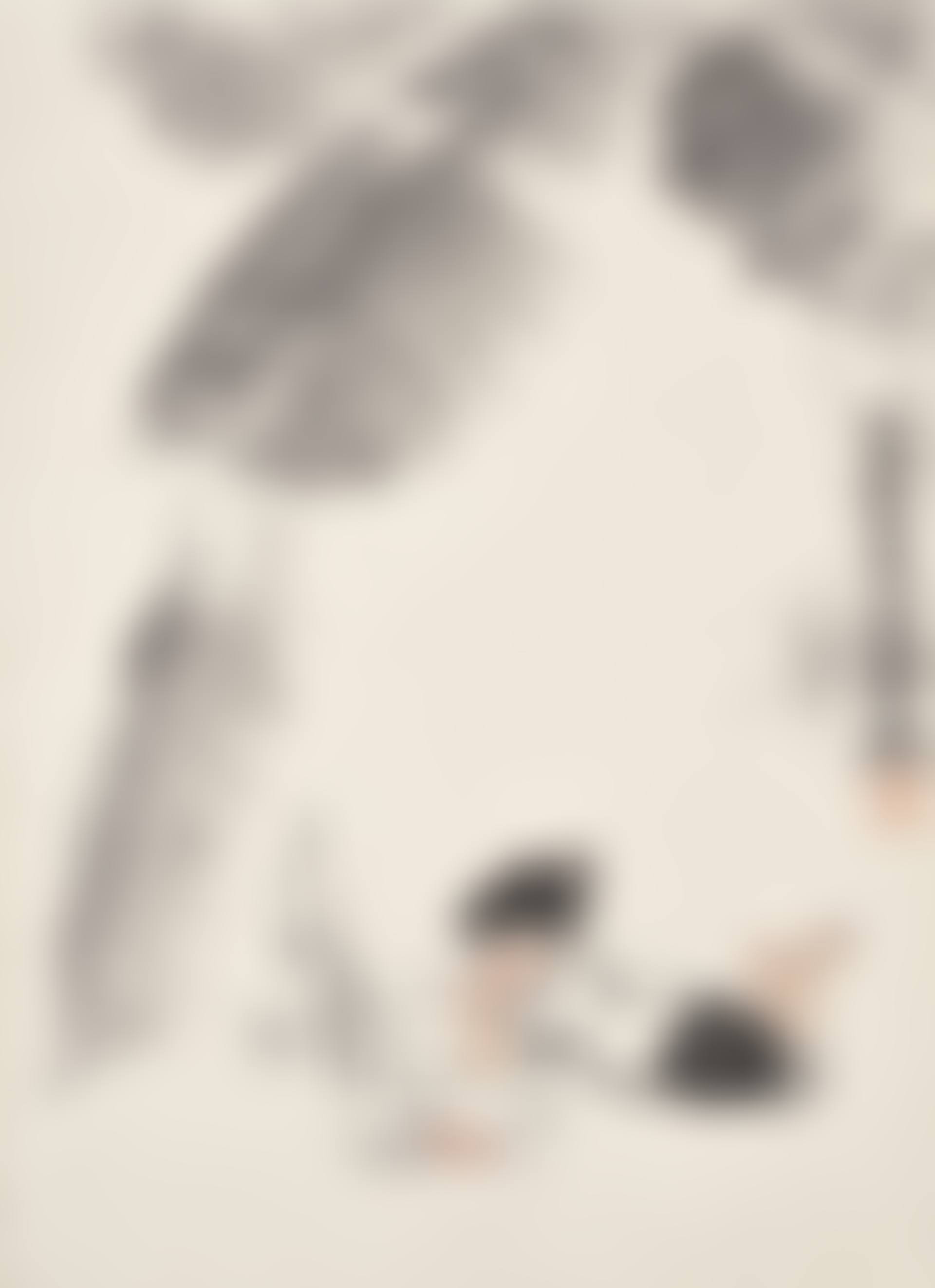 Girl Reading under Plantain (preview)