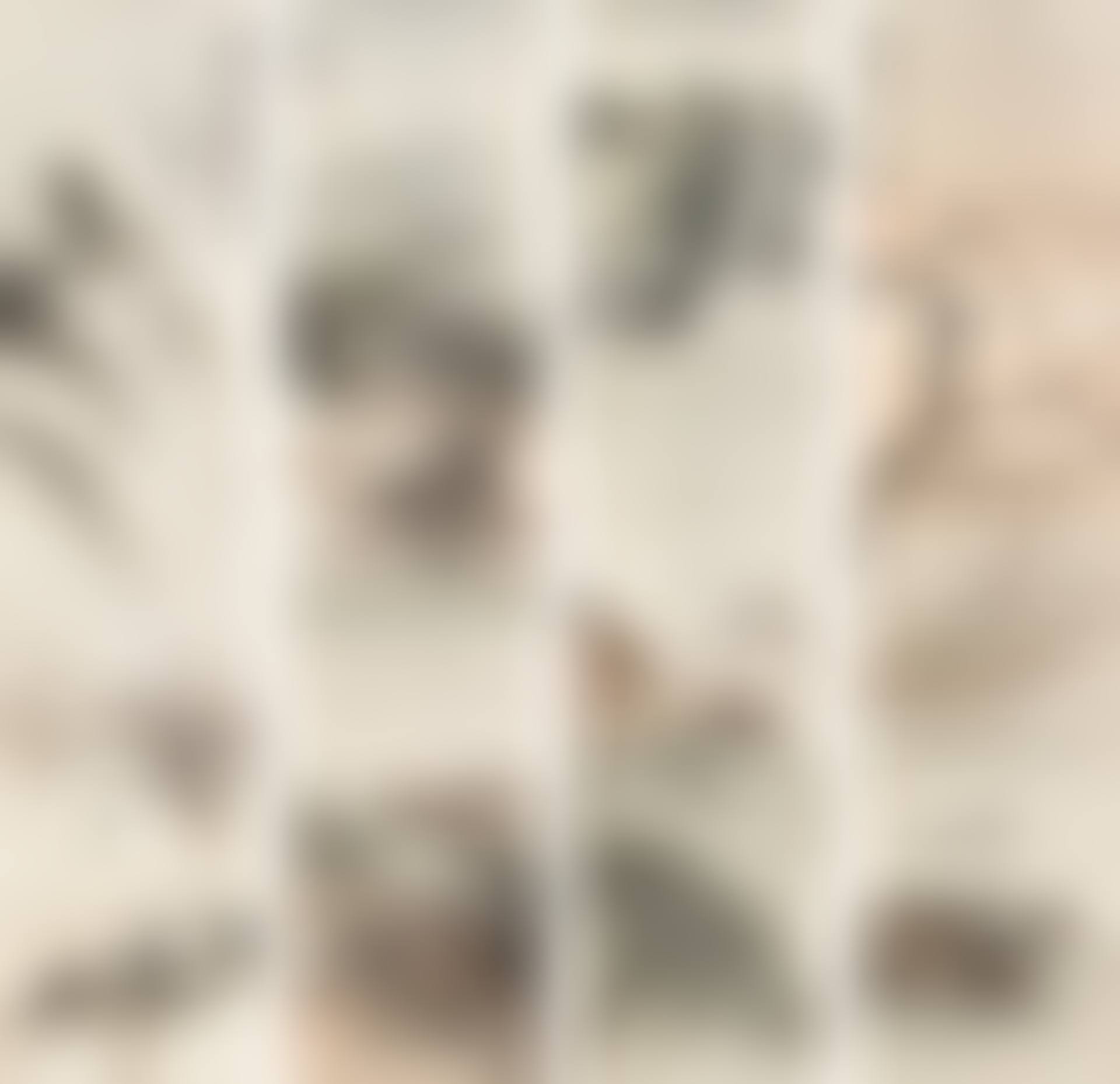 Four Seasons (preview)