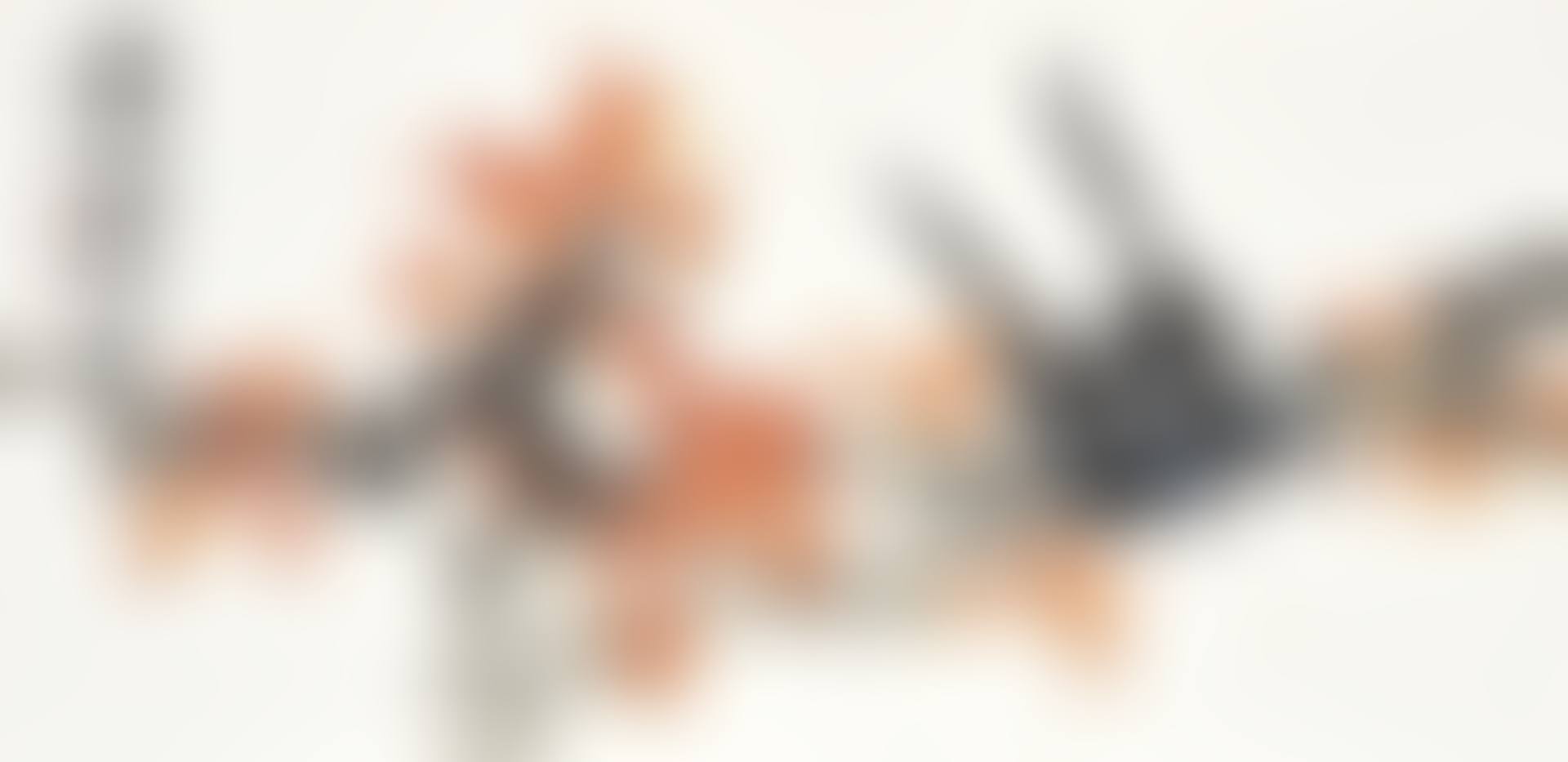 Two Birds on Branch (preview)