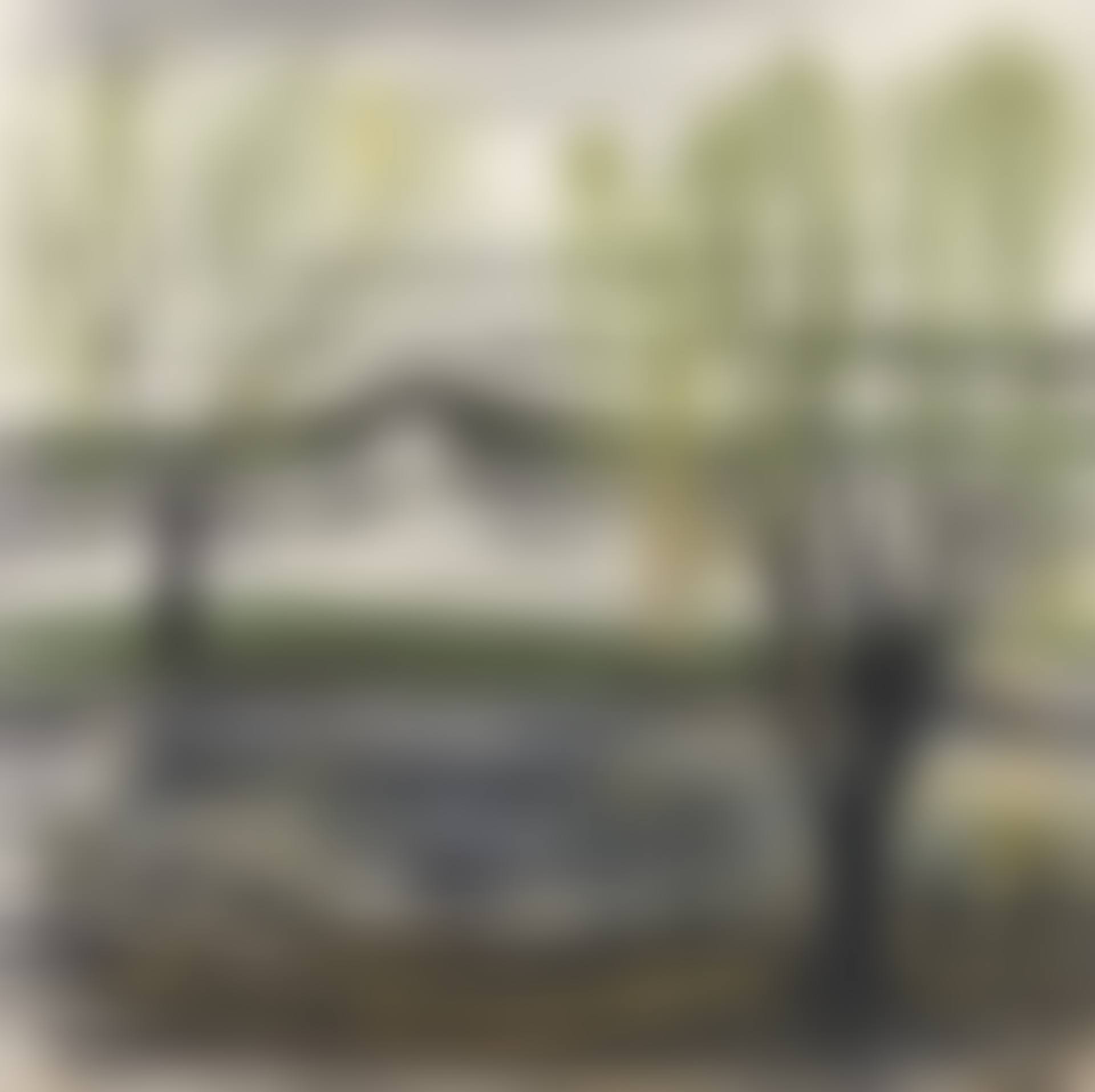 Misty Scenery (preview)