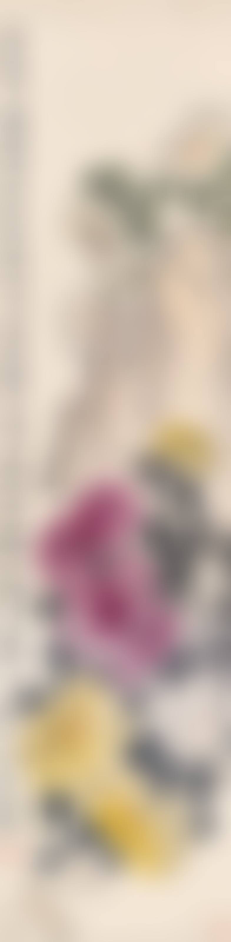 Chrysanthemum and Rock (preview)