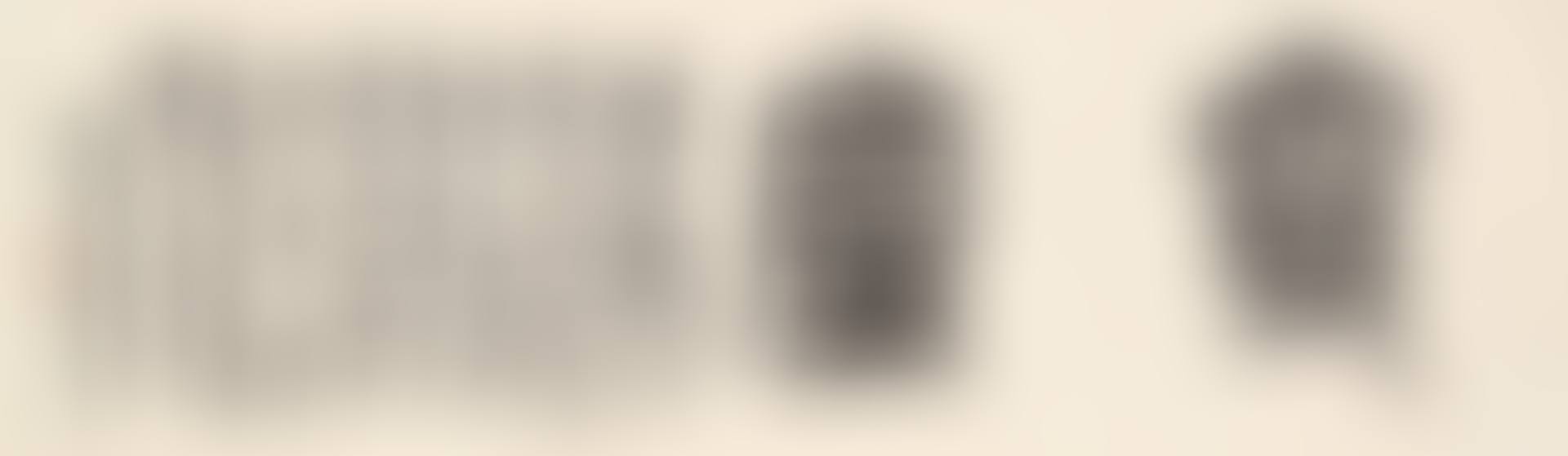 Calligraphy in Seal Script (preview)