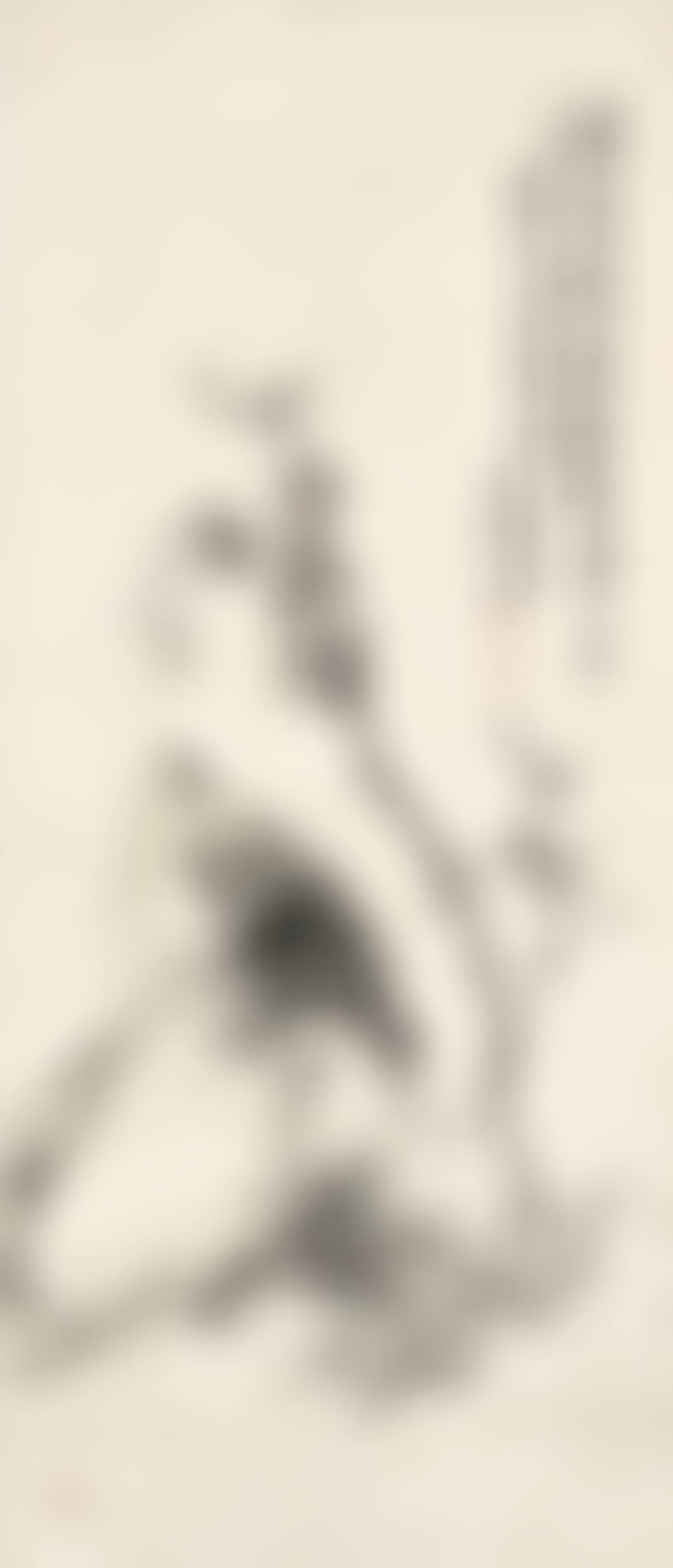Plum Blossom and Rock (preview)