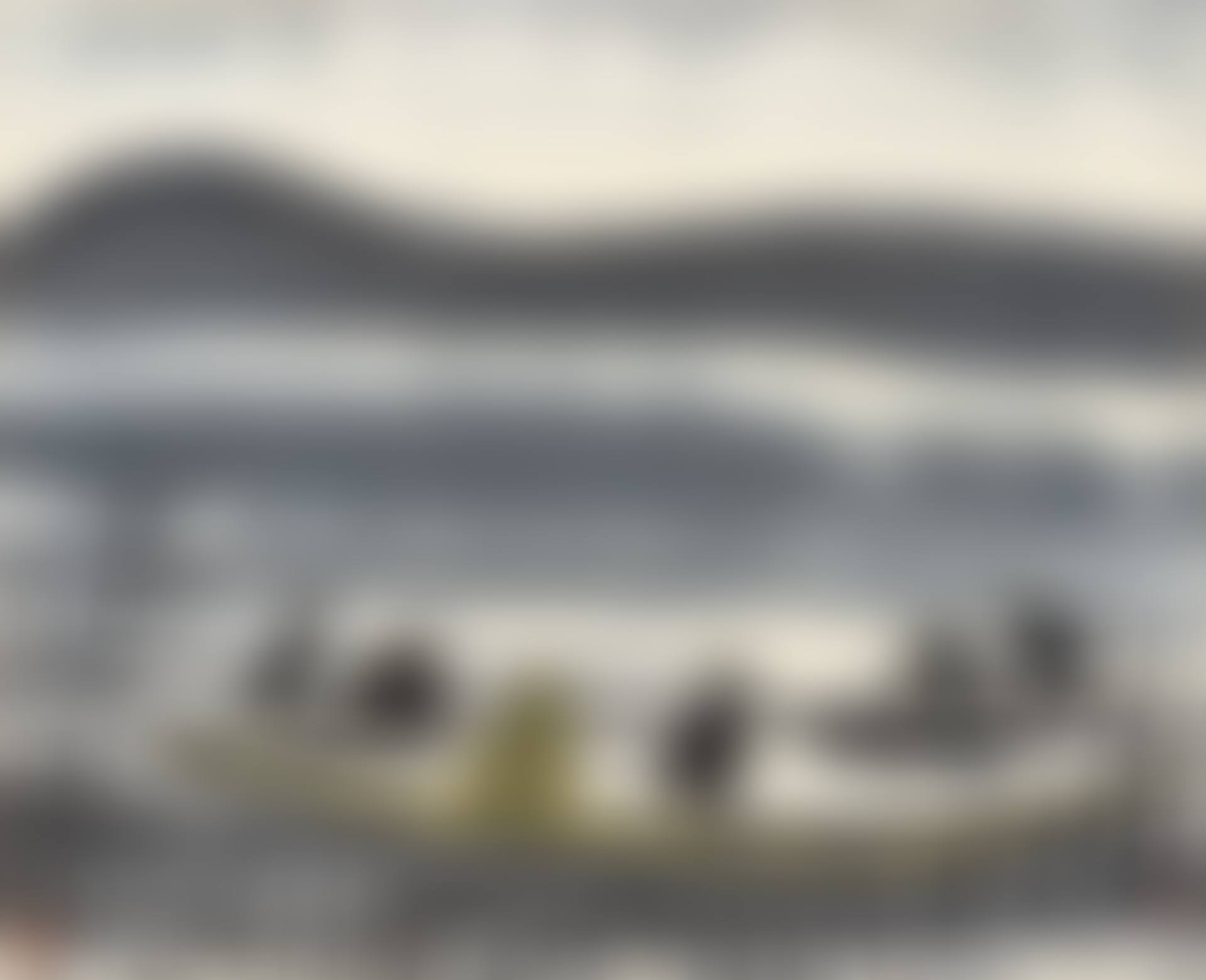 Cormorants by the Reeds Pond (preview)