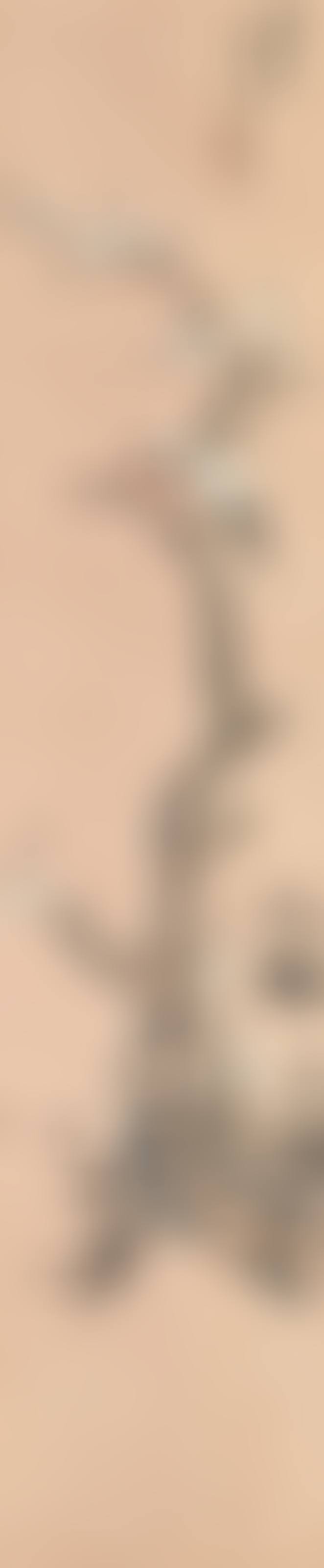 Bamboo, Plum Blossom and Two Birds (preview)