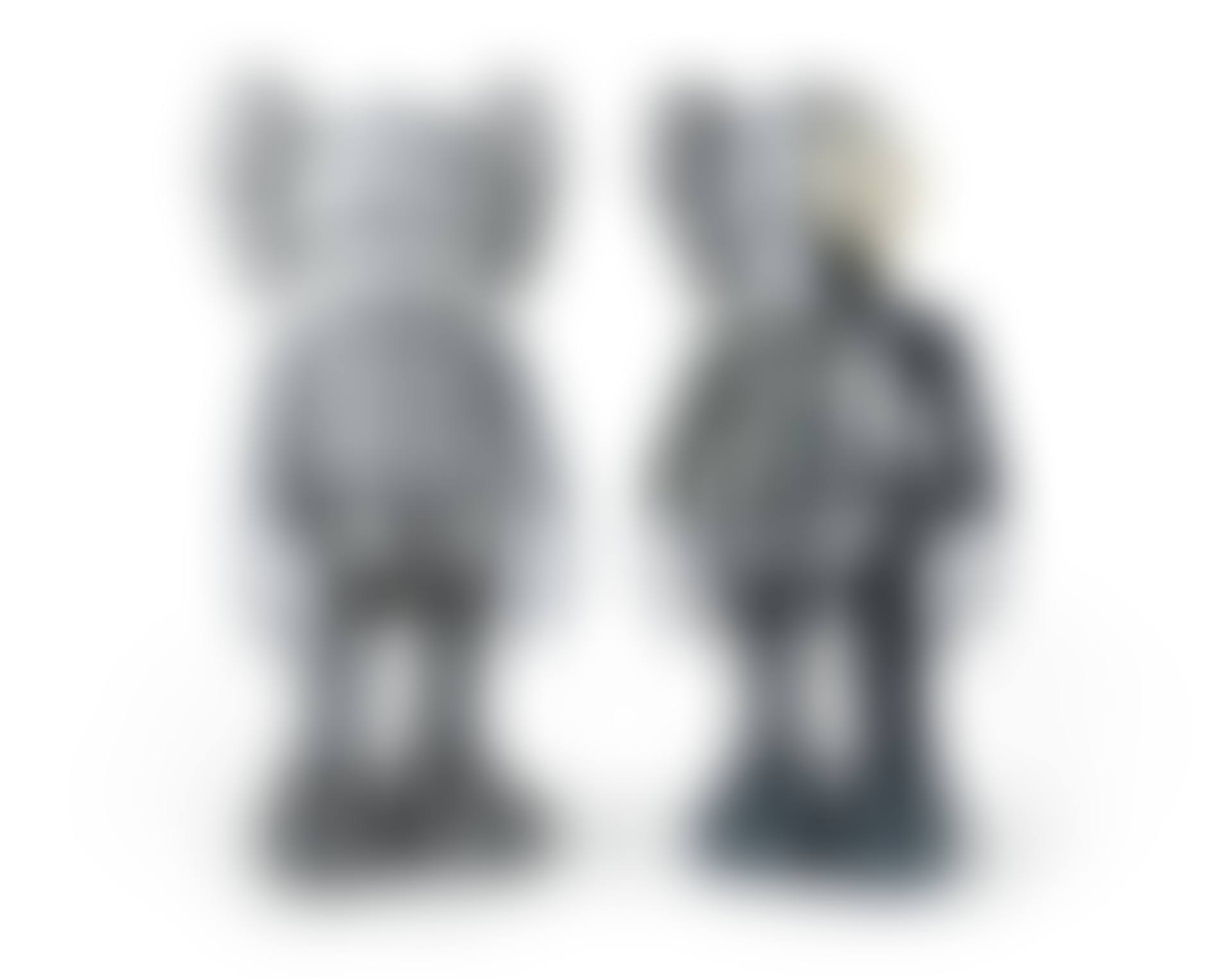 COMPANION (Grey) (preview)