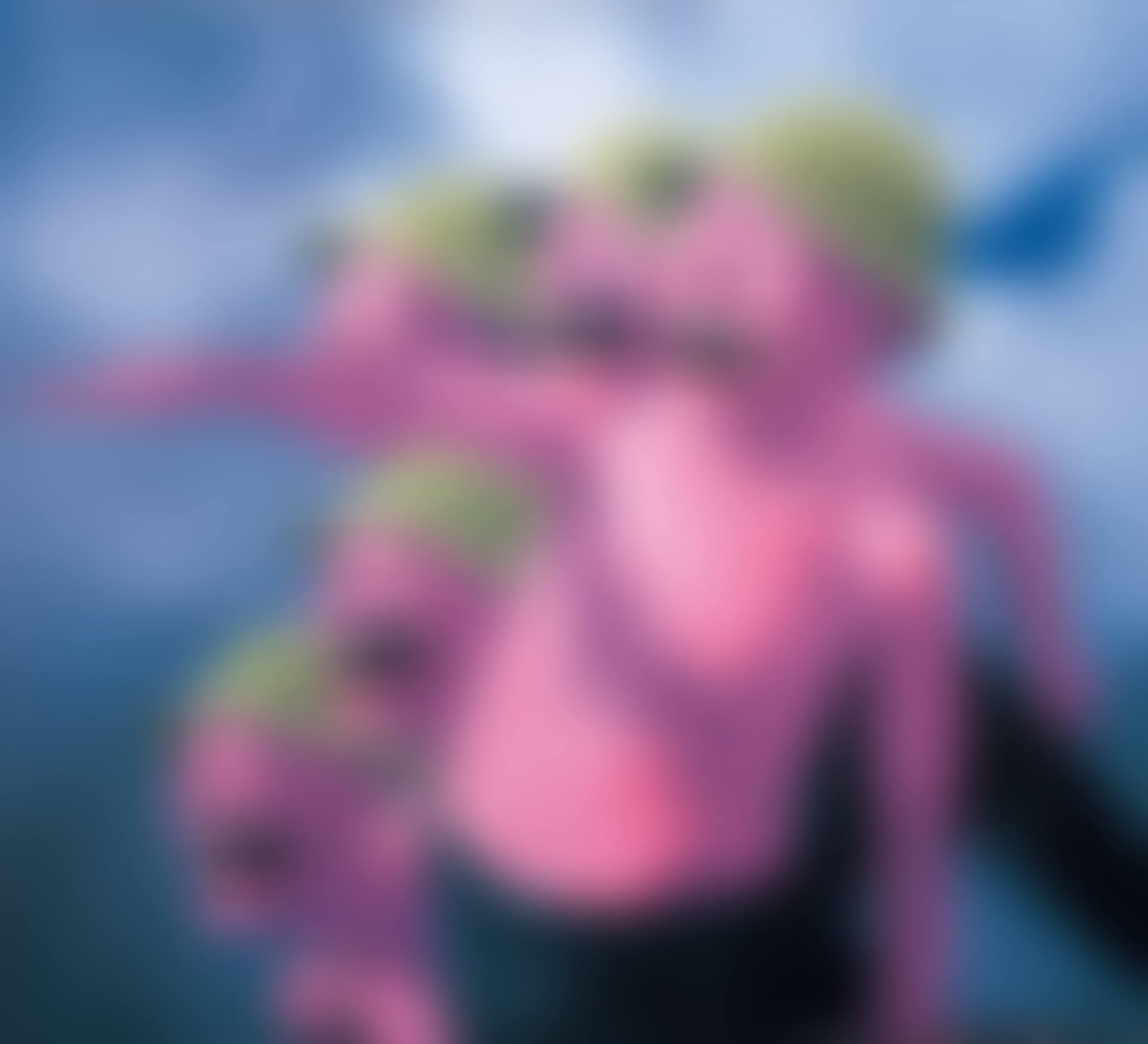 Untitled (preview)