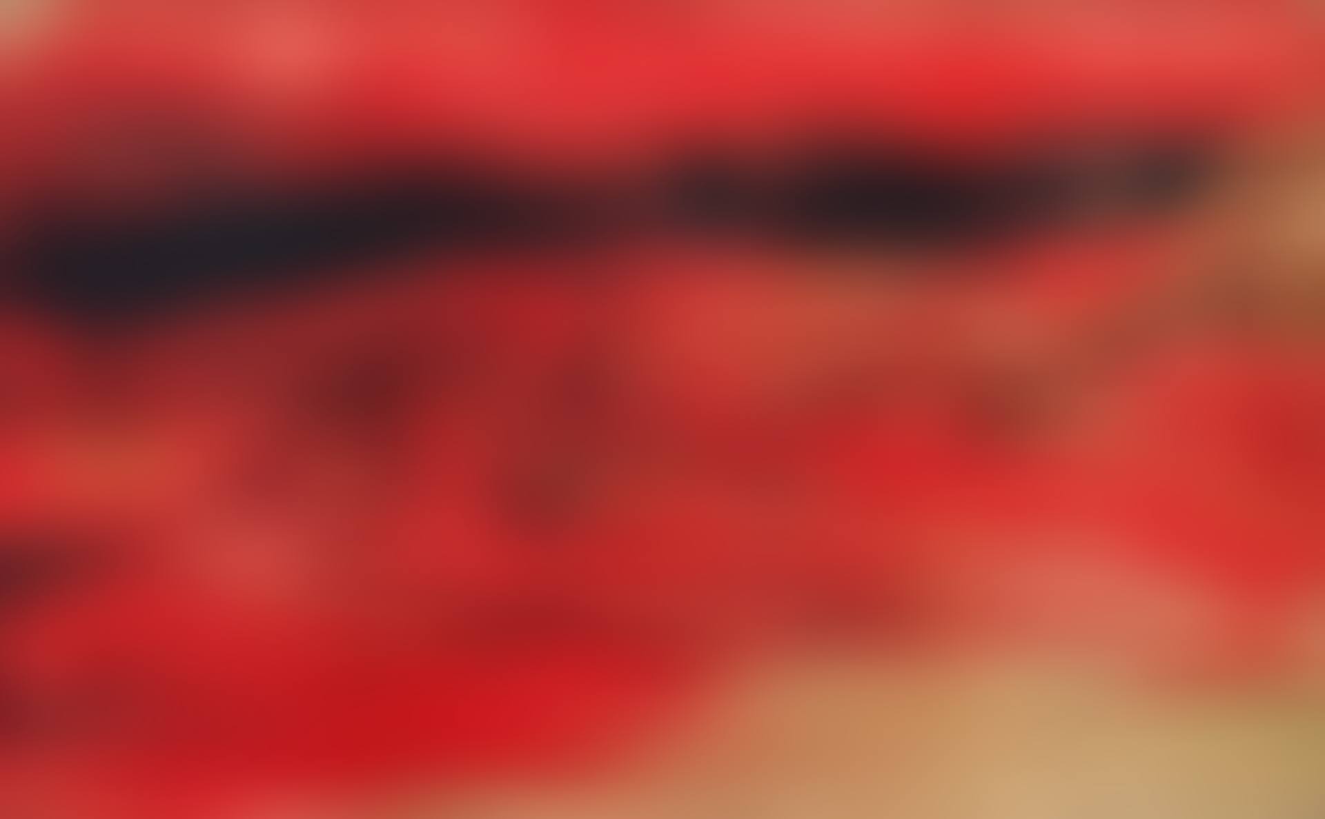 21.04.64 (preview)