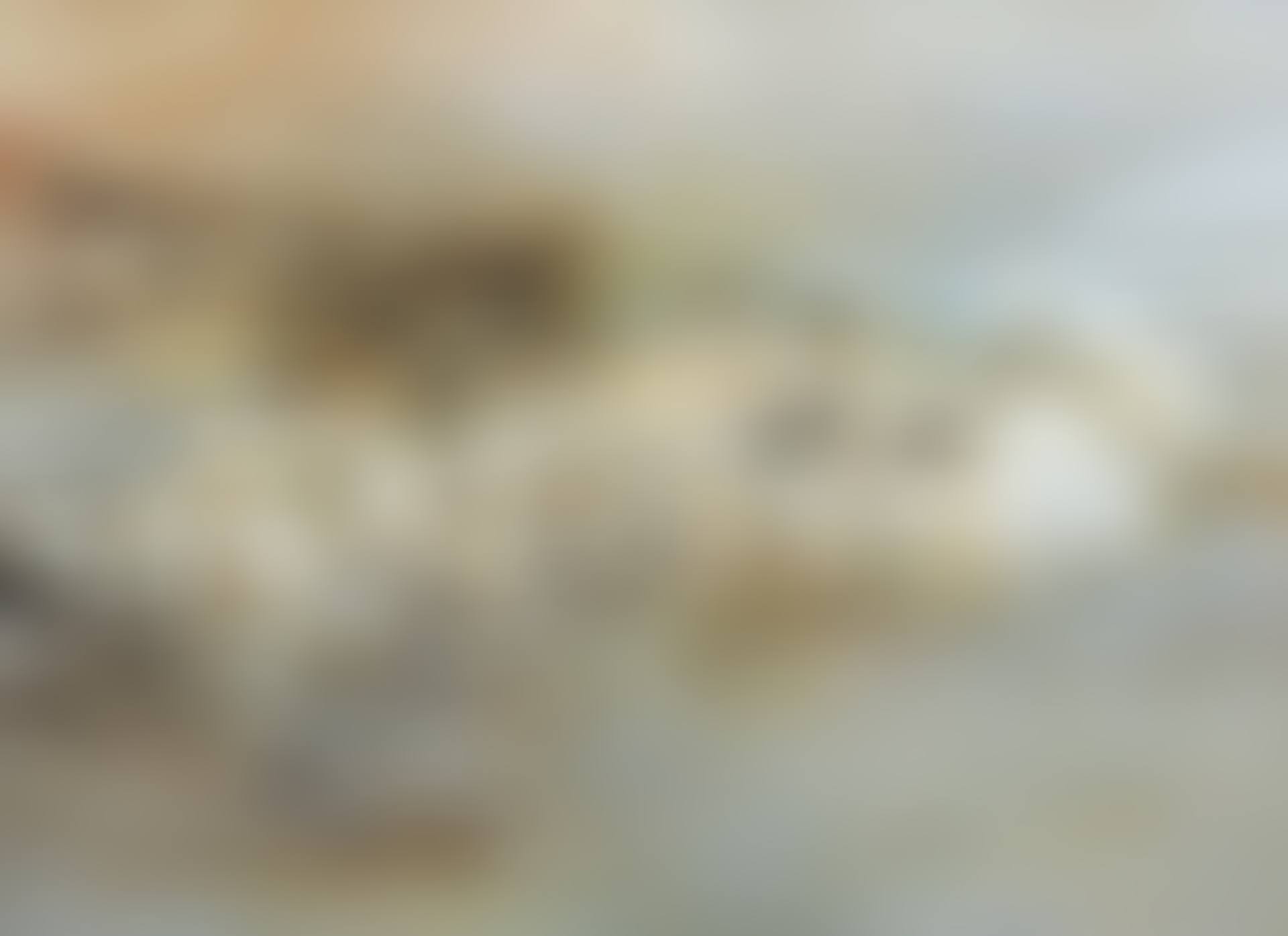 11.03.60 (preview)