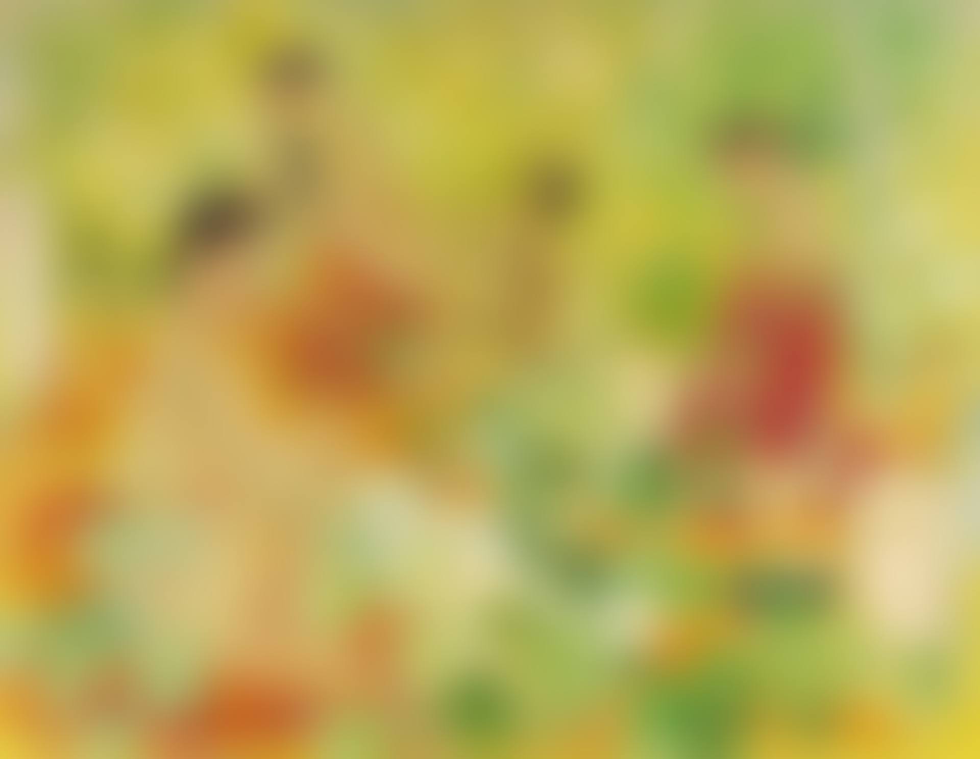 Composition (preview)
