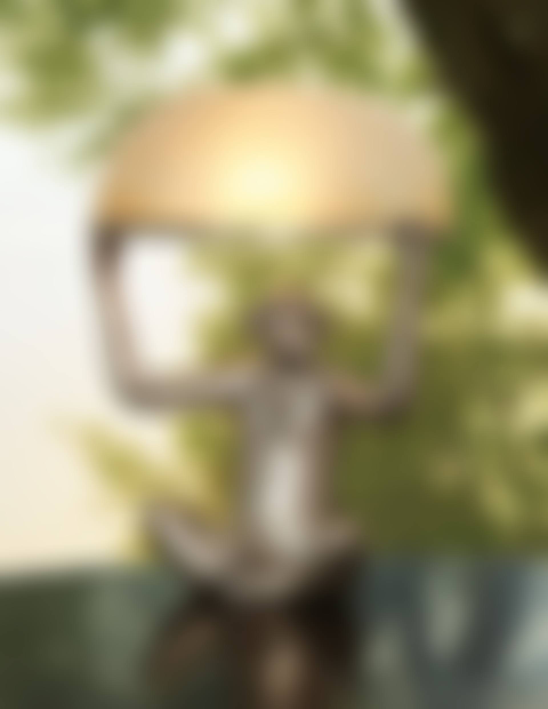 'SINGE ALLUMÉ' TABLE LAMP (preview)