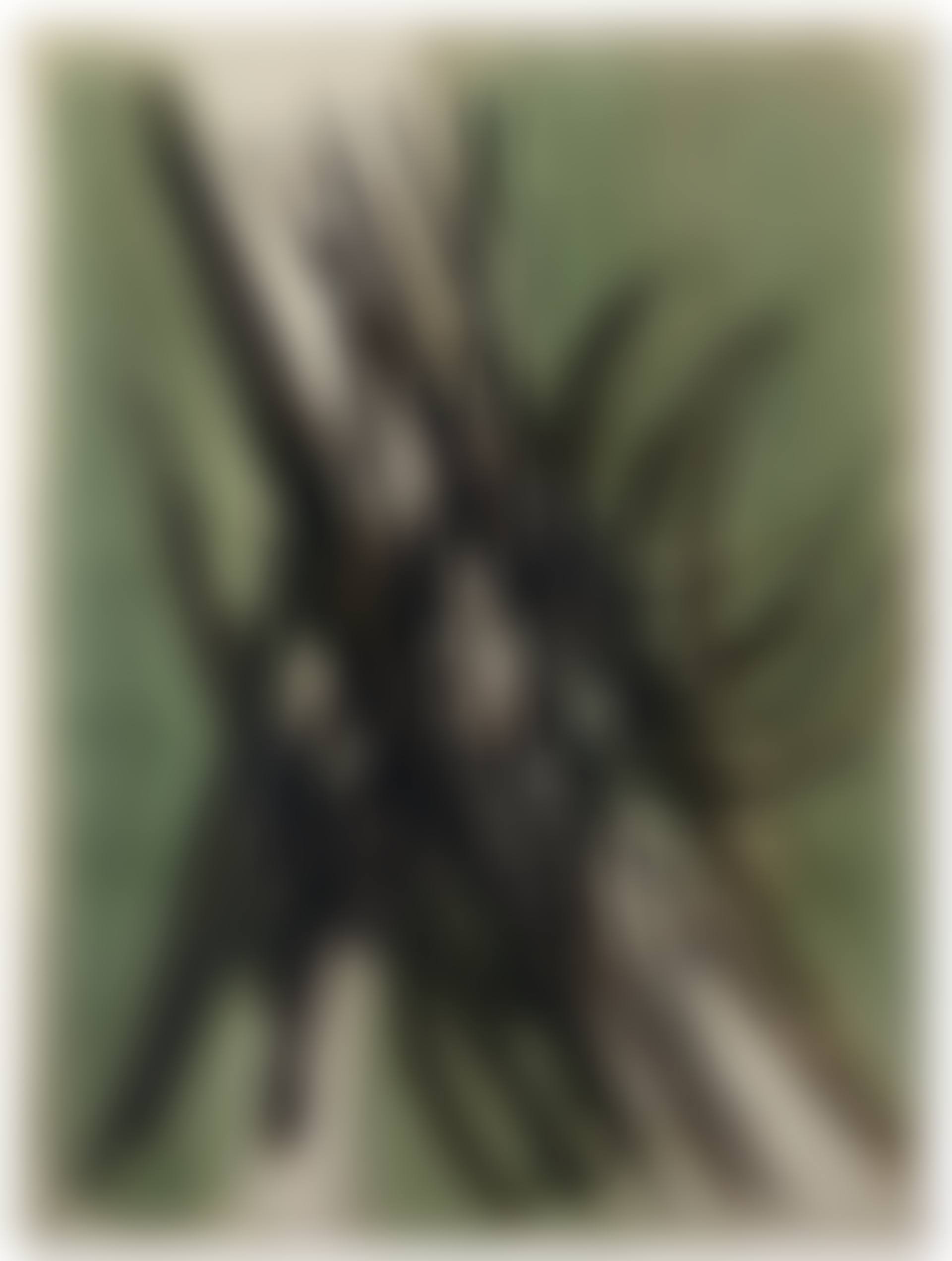 T55-2 (preview)