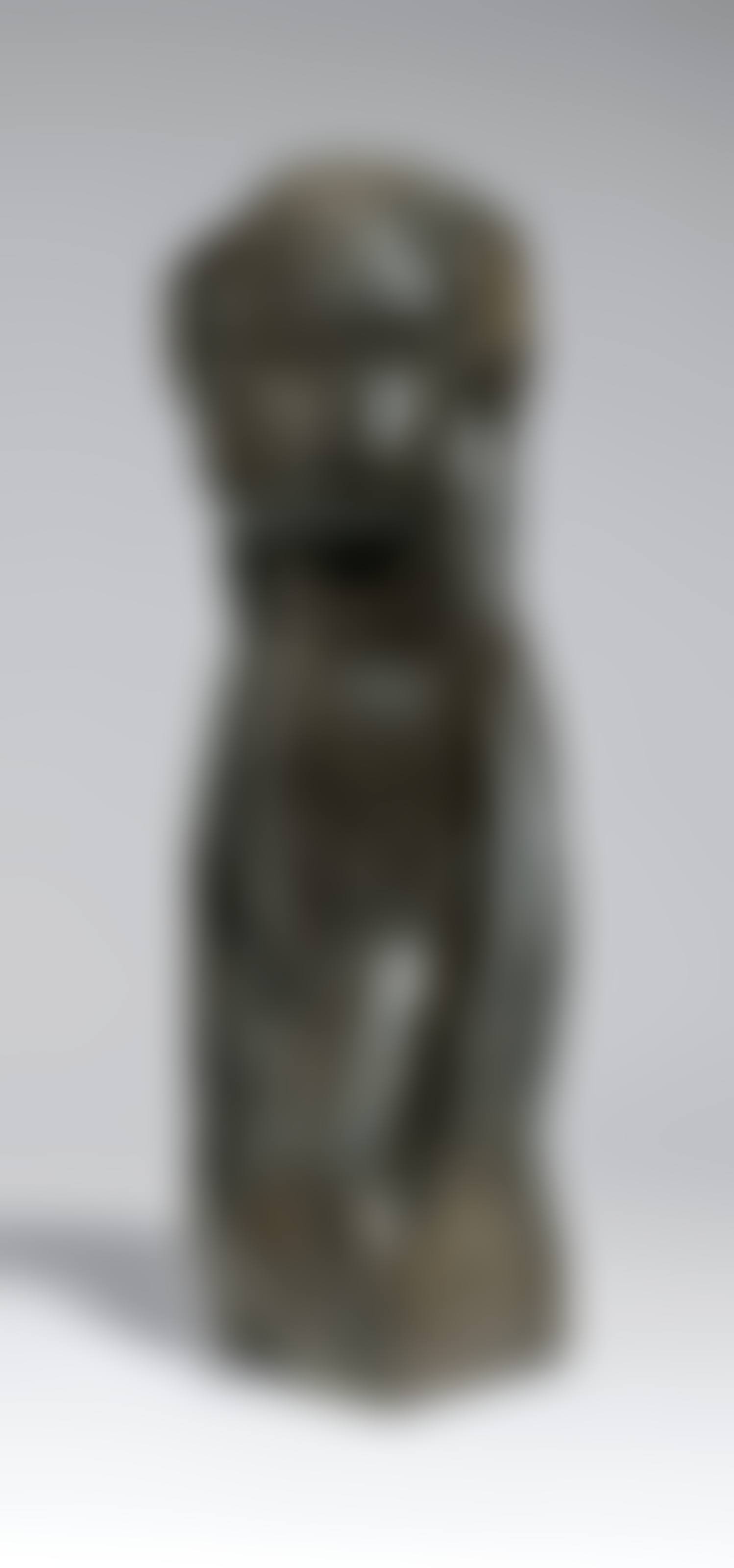 Torso (preview)