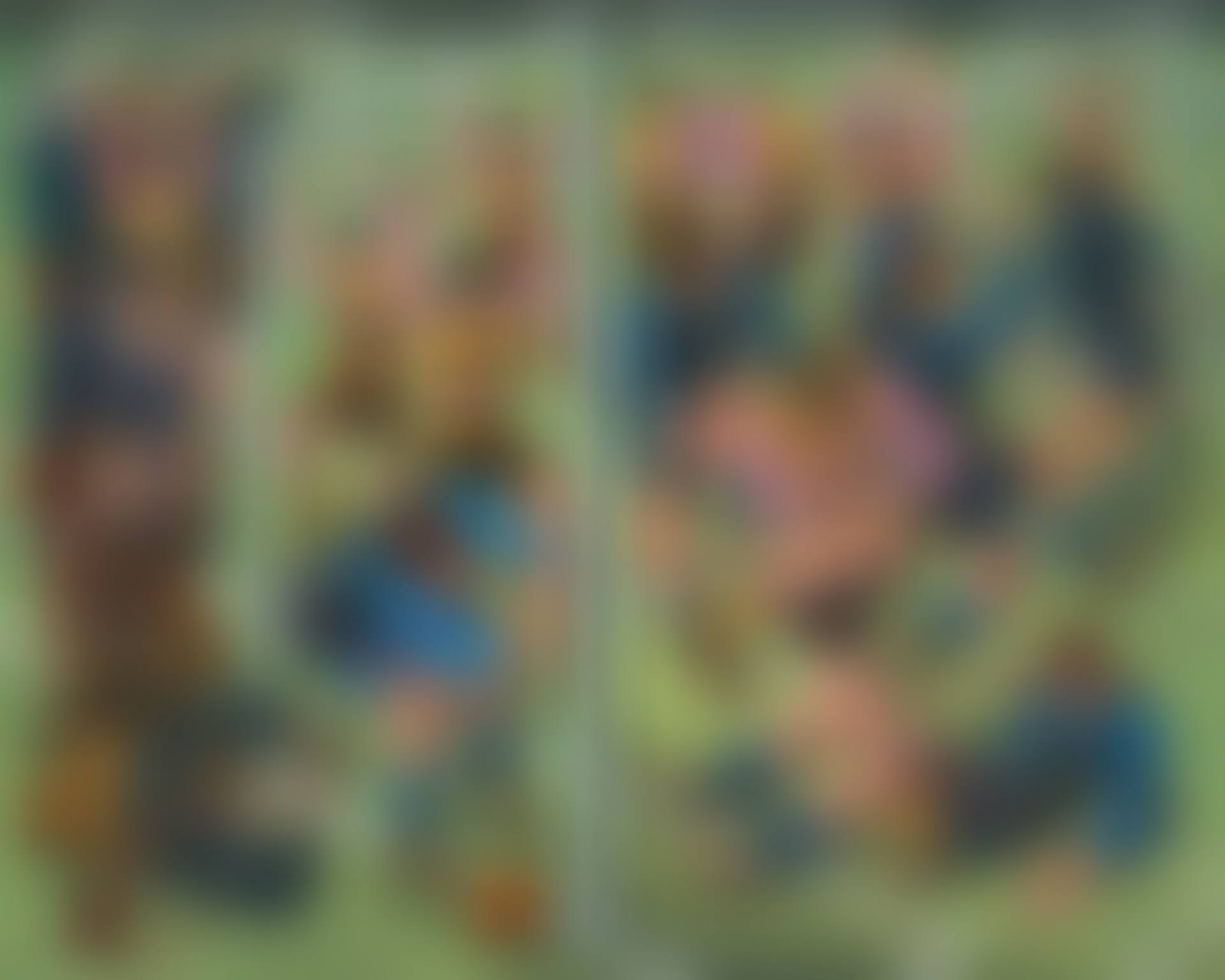 Goal (preview)