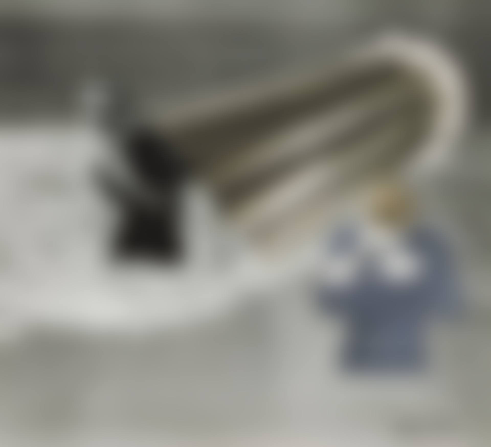 Les Complices (preview)